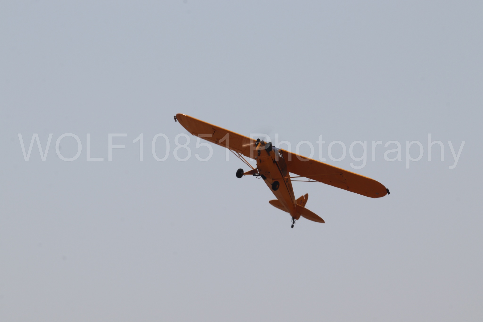 Aviation photography by WOLF10851 featuring Beale Air and Space Expo 2025, Piper J-3 Cub, Tucker Air Patrol.