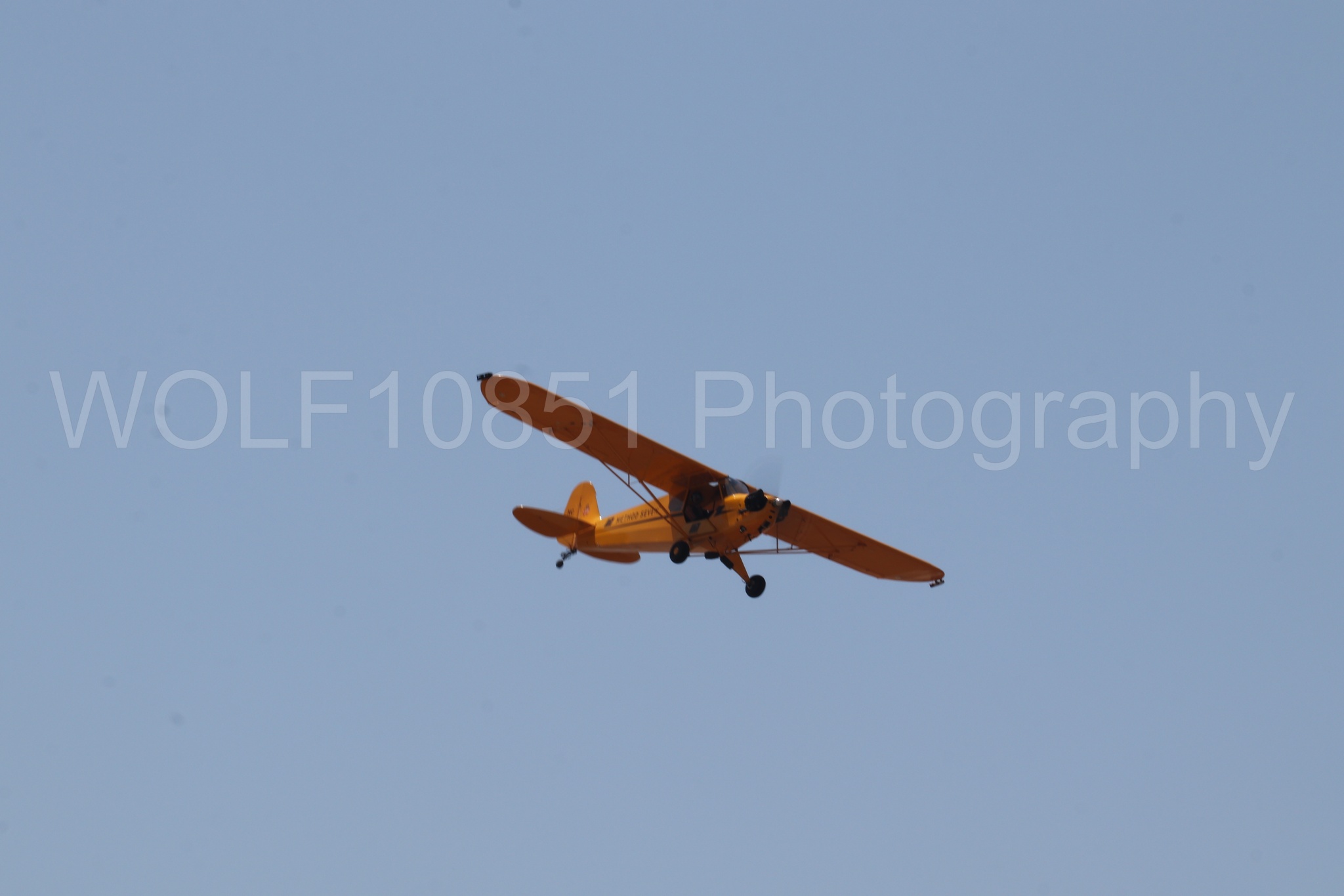 Aviation photography by WOLF10851 featuring Beale Air and Space Expo 2025, Piper J-3 Cub, Tucker Air Patrol.
