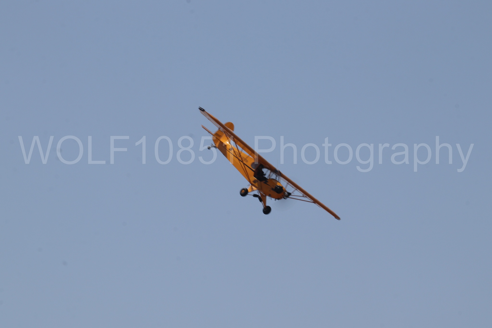 Aviation photography by WOLF10851 featuring Beale Air and Space Expo 2025, Piper J-3 Cub, Tucker Air Patrol.