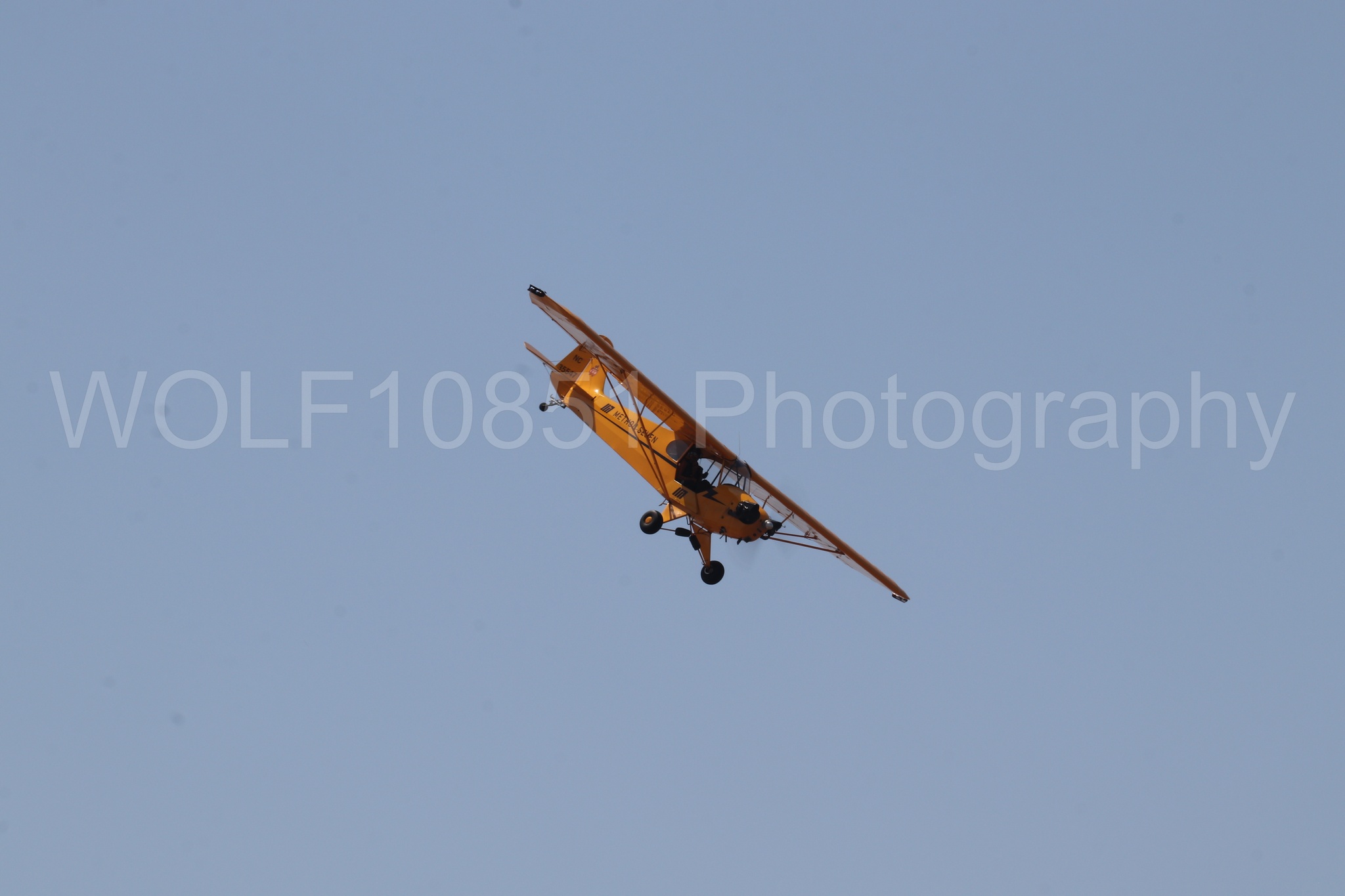 Aviation photography by WOLF10851 featuring Beale Air and Space Expo 2025, Piper J-3 Cub, Tucker Air Patrol.