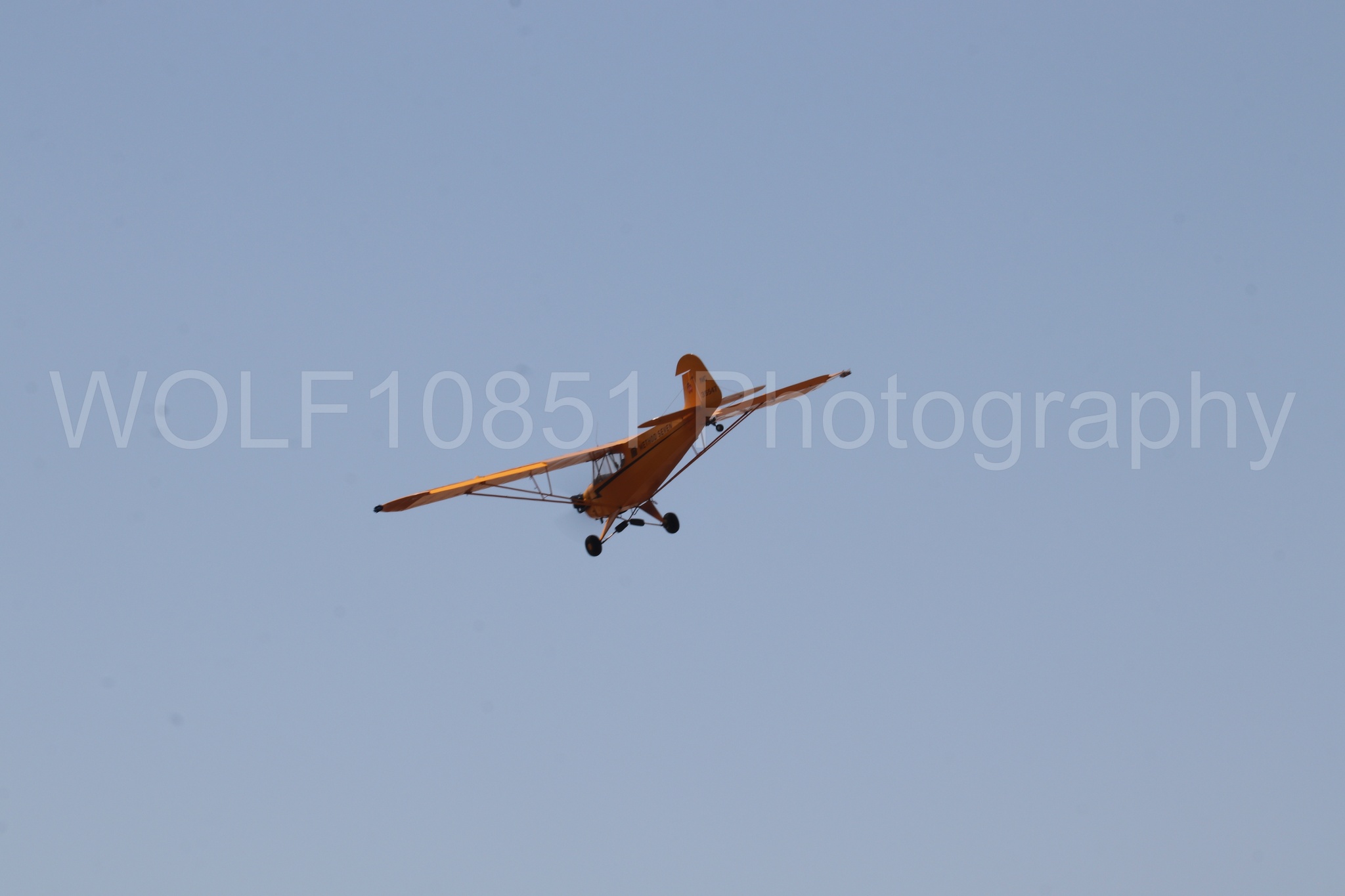 Aviation photography by WOLF10851 featuring Beale Air and Space Expo 2025, Piper J-3 Cub, Tucker Air Patrol.