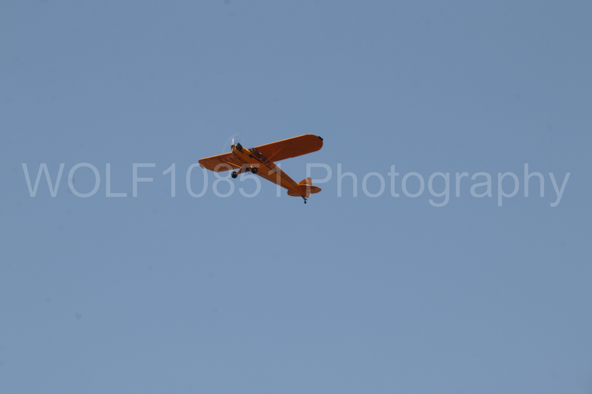 Aviation photography by WOLF10851 featuring Beale Air and Space Expo 2025, Piper J-3 Cub, Tucker Air Patrol.
