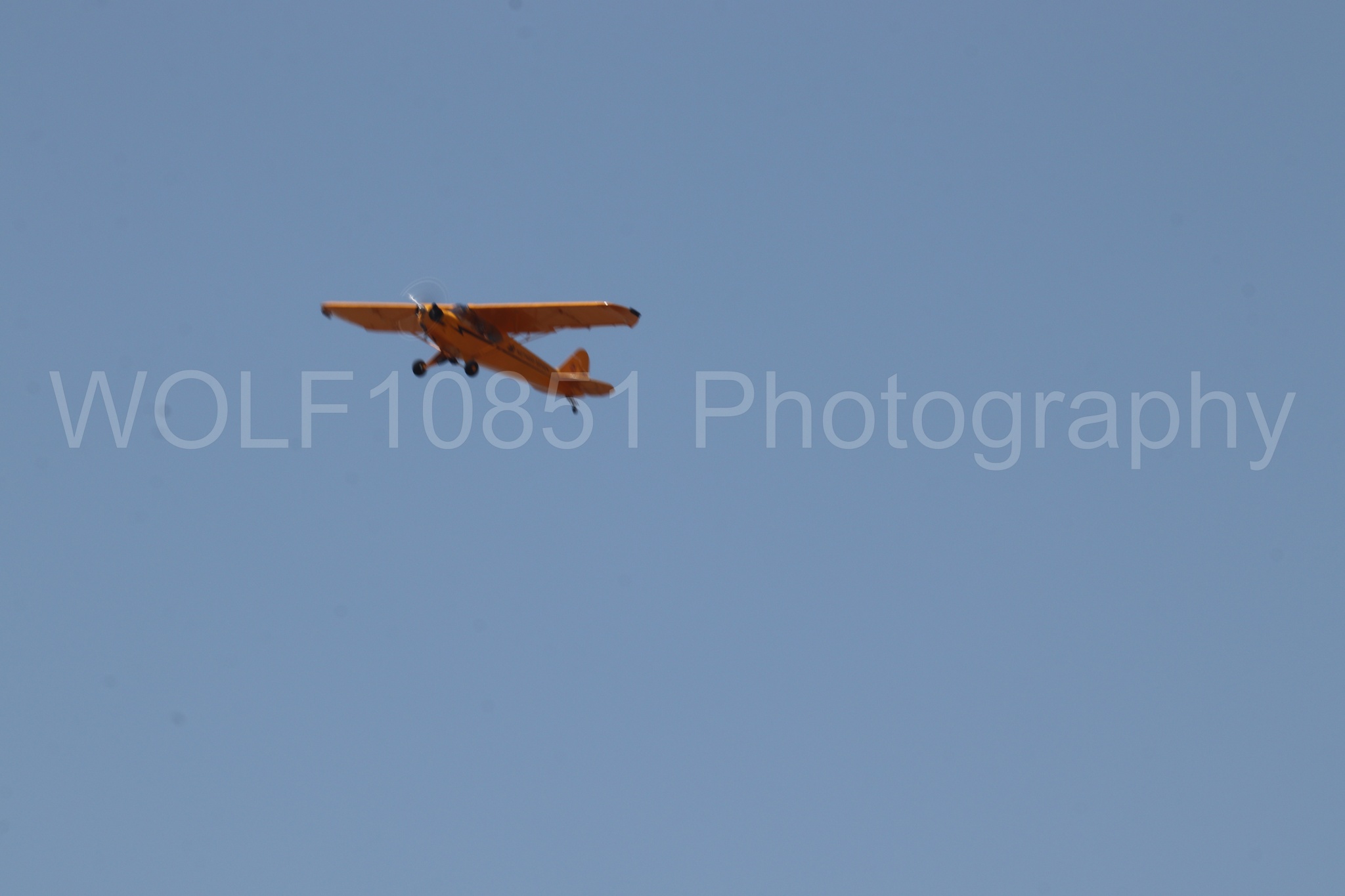 Aviation photography by WOLF10851 featuring Beale Air and Space Expo 2025, Piper J-3 Cub, Tucker Air Patrol.