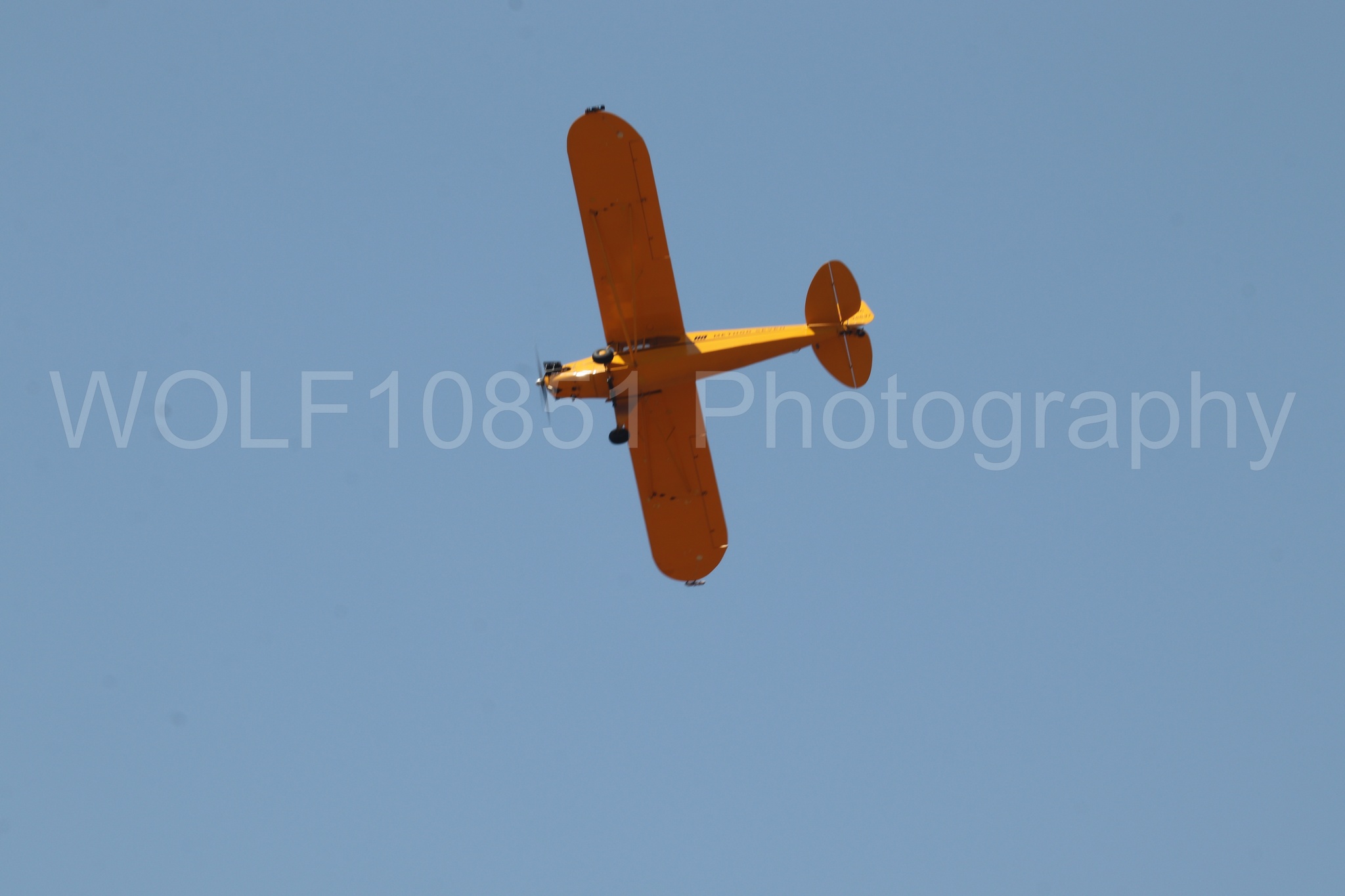 Aviation photography by WOLF10851 featuring Beale Air and Space Expo 2025, Piper J-3 Cub, Tucker Air Patrol.