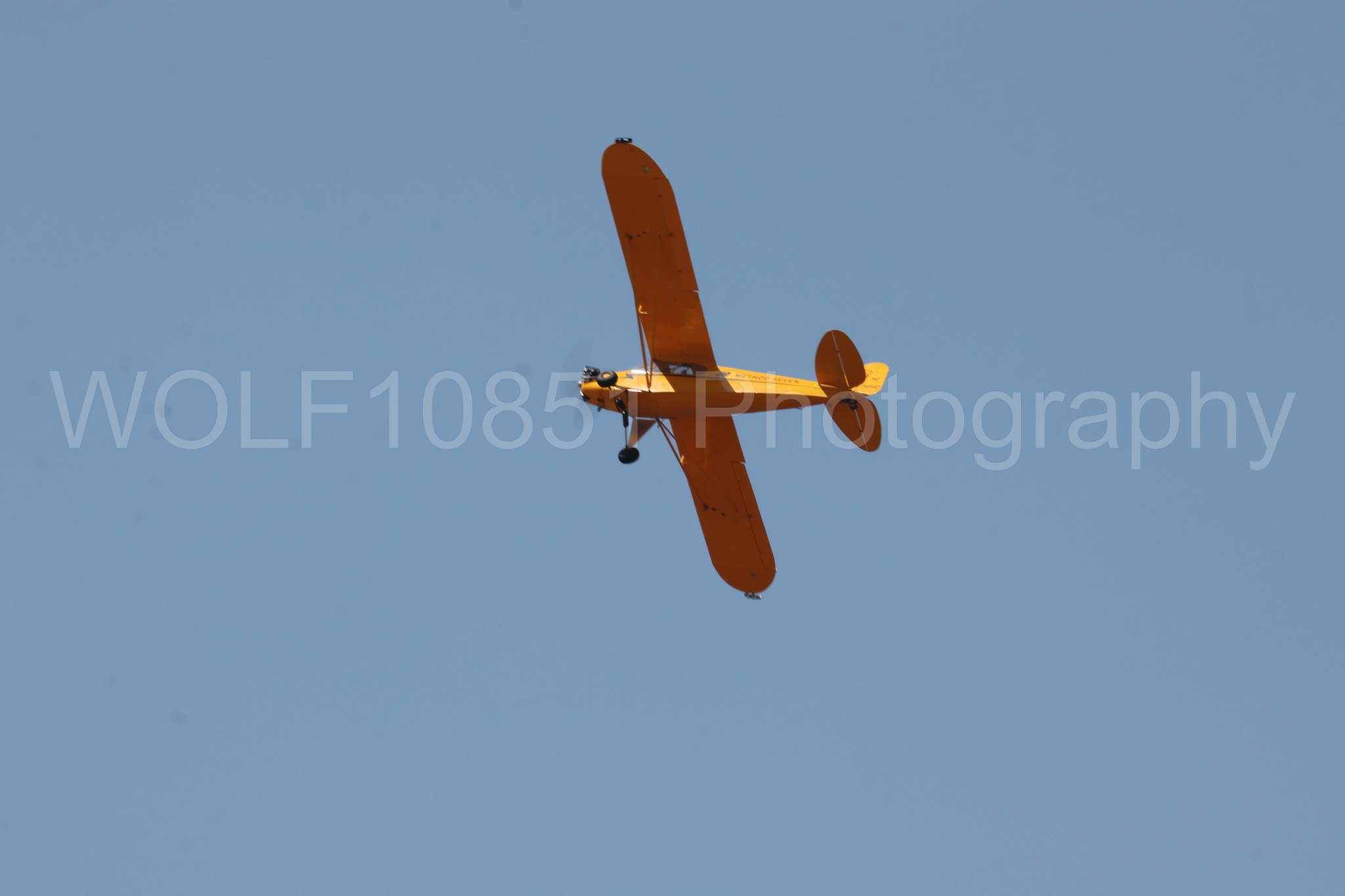 Aviation photography by WOLF10851 featuring Beale Air and Space Expo 2025, Piper J-3 Cub, Tucker Air Patrol.