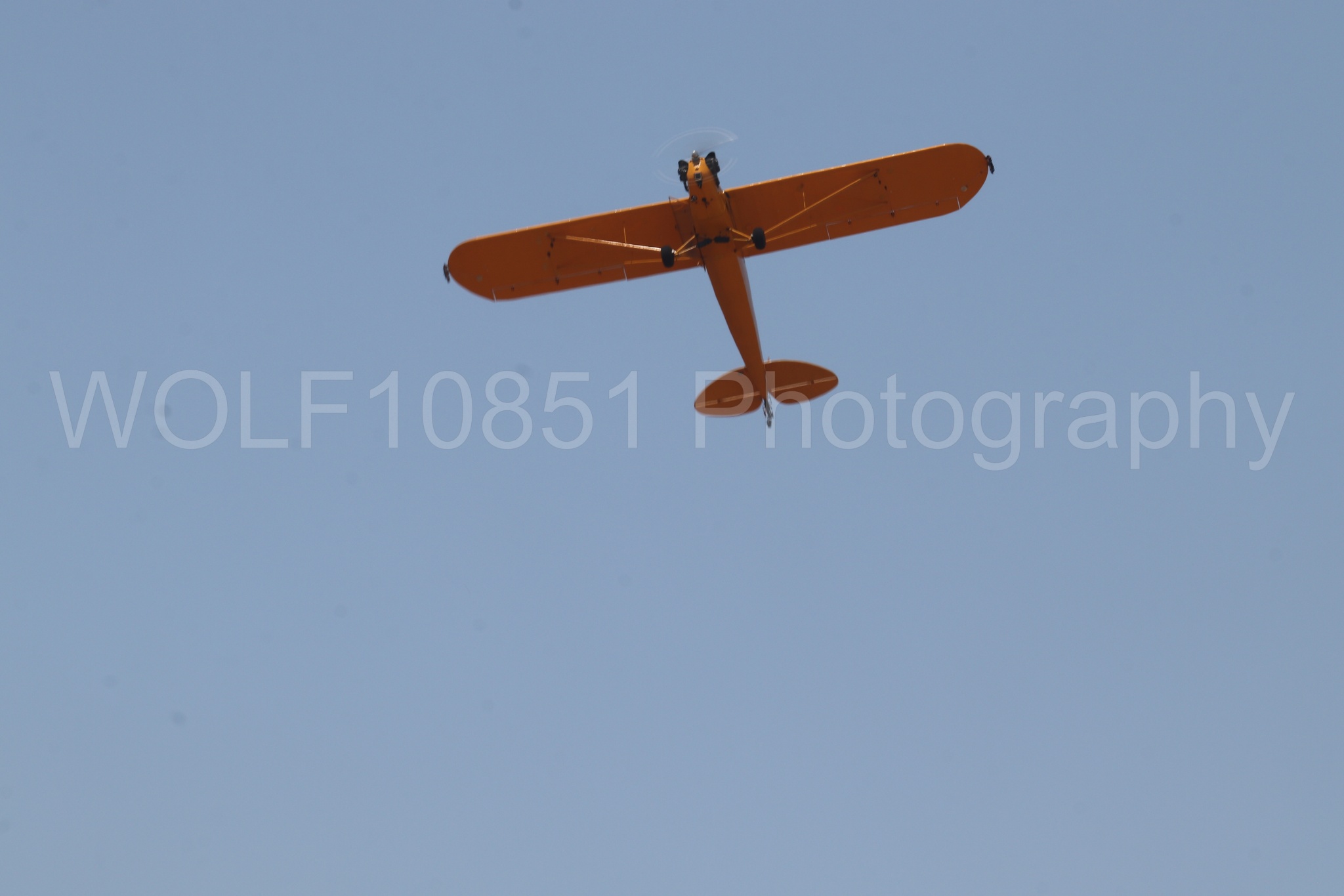 Aviation photography by WOLF10851 featuring Beale Air and Space Expo 2025, Piper J-3 Cub, Tucker Air Patrol.