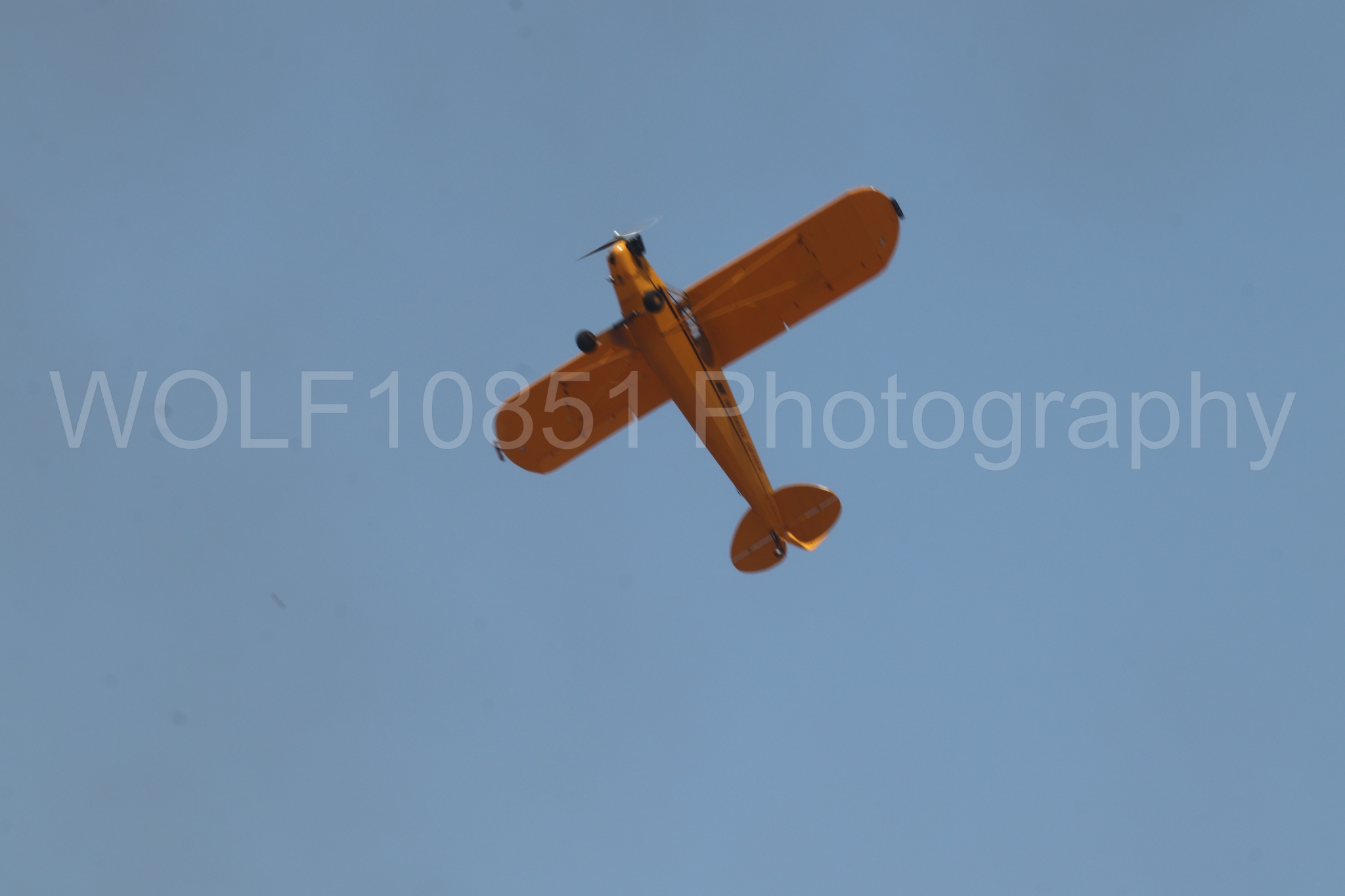 Aviation photography by WOLF10851 featuring Beale Air and Space Expo 2025, Piper J-3 Cub, Tucker Air Patrol.