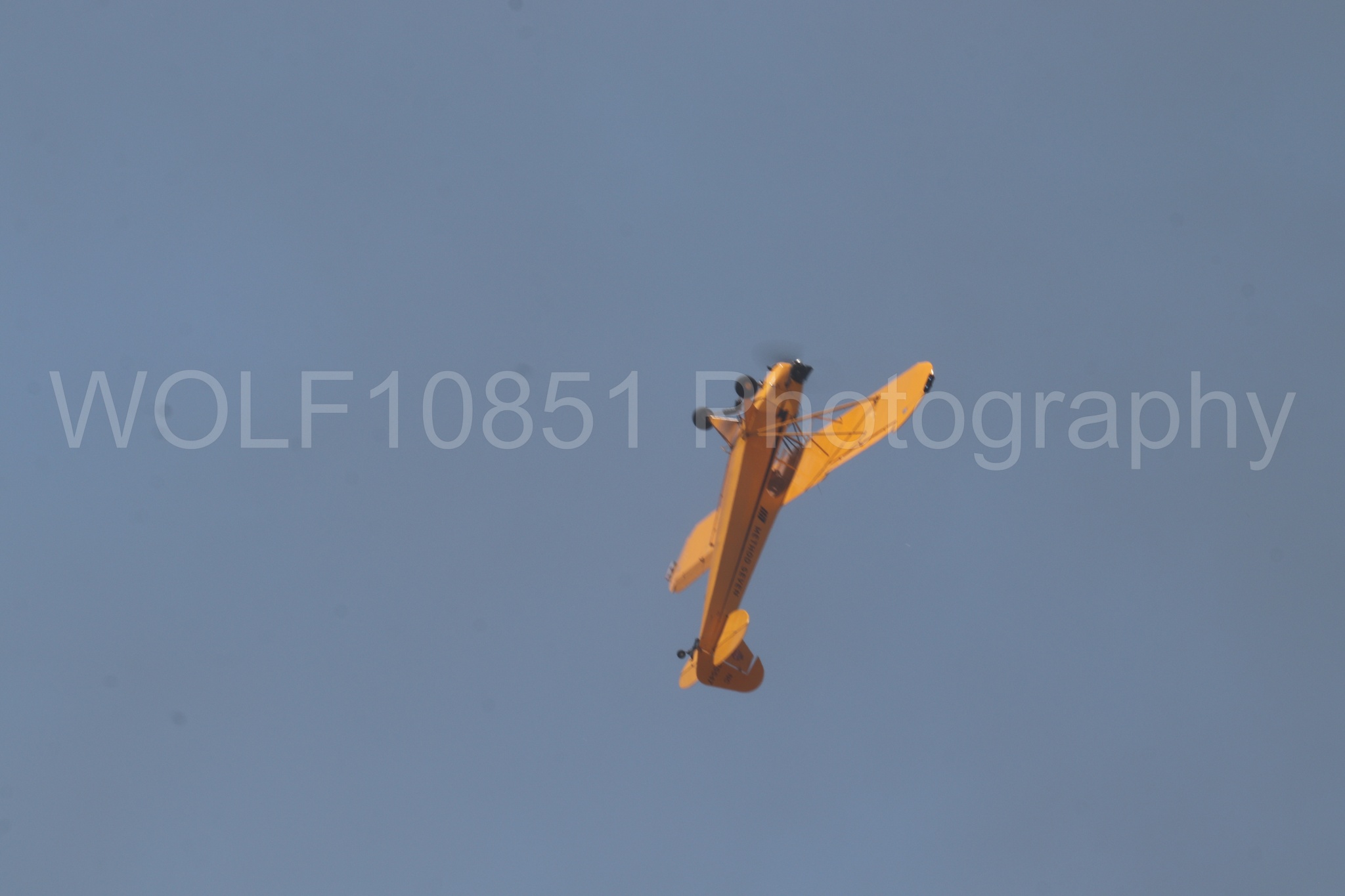 Aviation photography by WOLF10851 featuring Beale Air and Space Expo 2025, Piper J-3 Cub, Tucker Air Patrol.