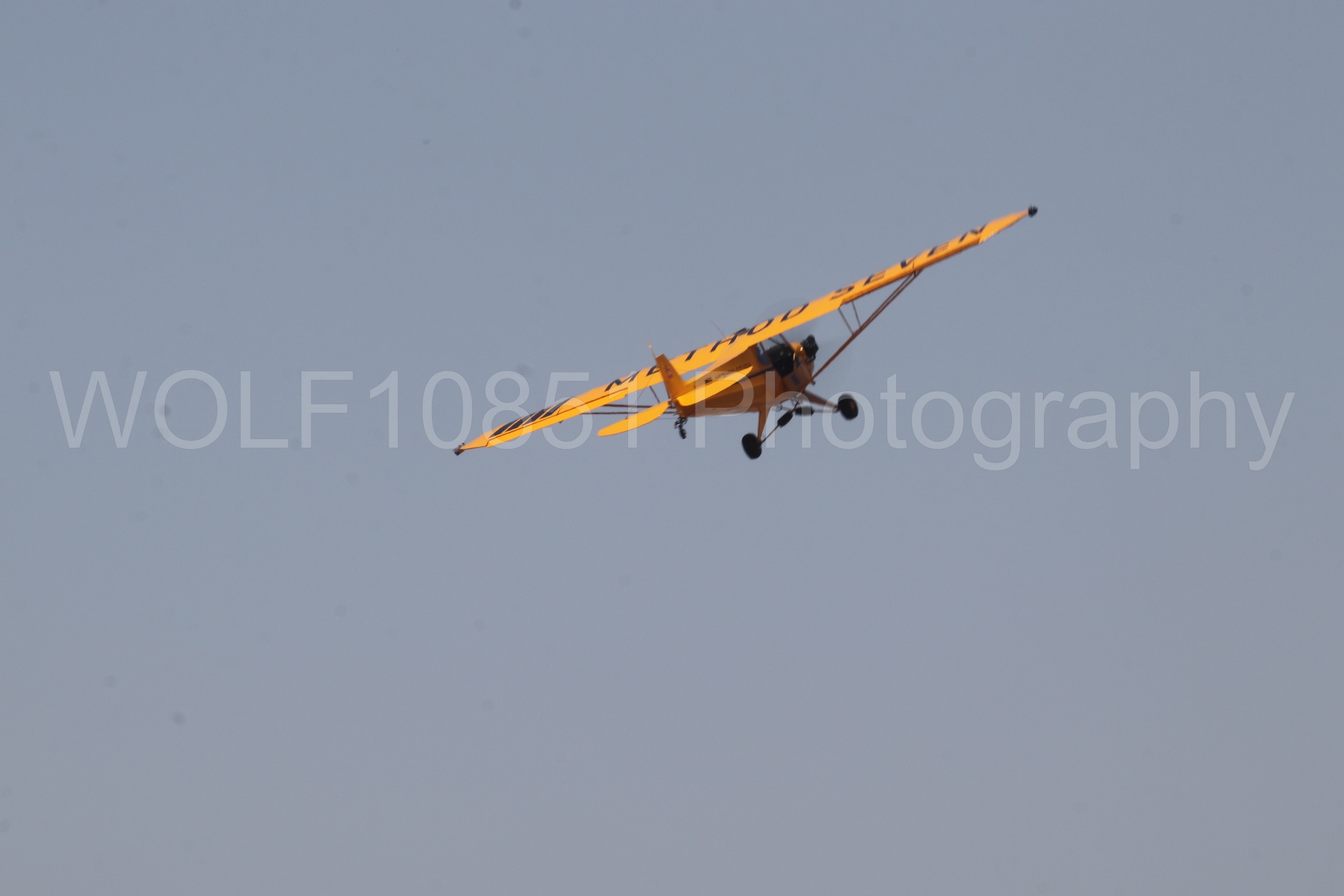 Aviation photography by WOLF10851 featuring Beale Air and Space Expo 2025, Piper J-3 Cub, Tucker Air Patrol.