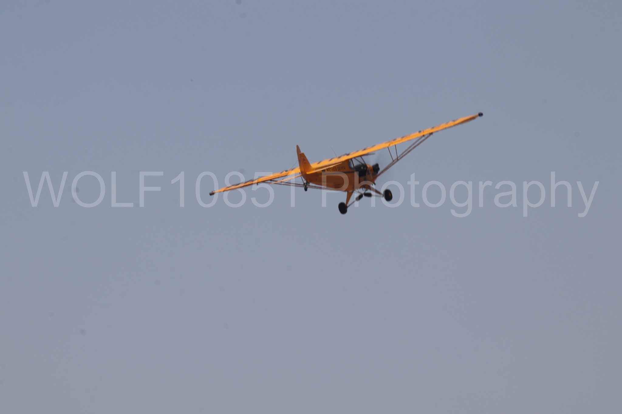 Aviation photography by WOLF10851 featuring Beale Air and Space Expo 2025, Piper J-3 Cub, Tucker Air Patrol.