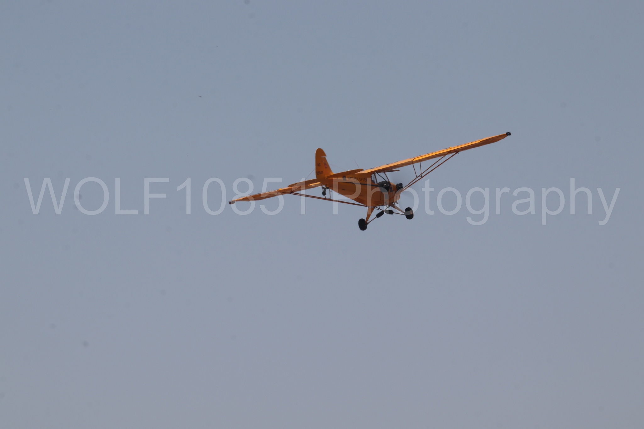 Aviation photography by WOLF10851 featuring Beale Air and Space Expo 2025, Piper J-3 Cub, Tucker Air Patrol.