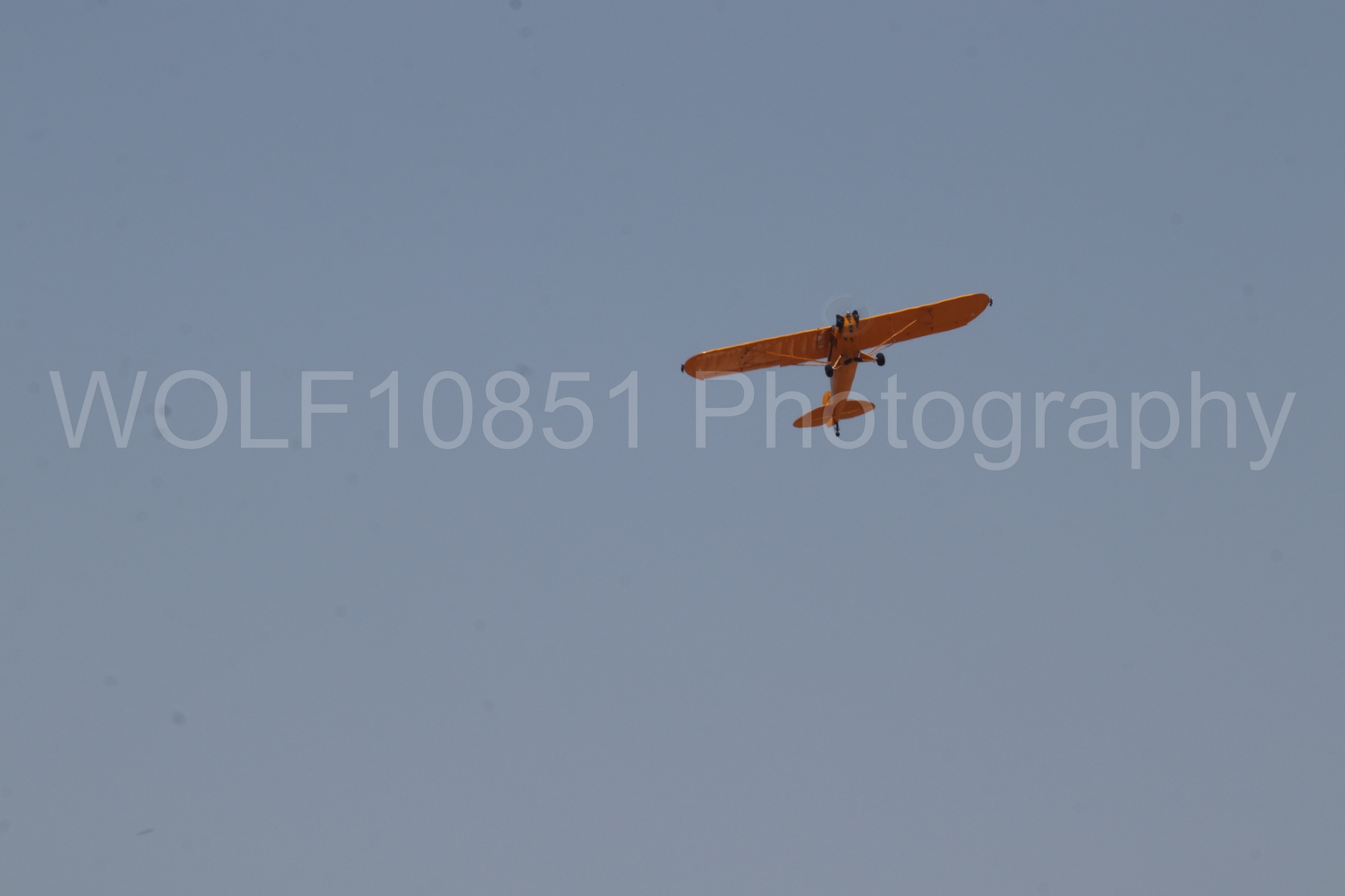 Aviation photography by WOLF10851 featuring Beale Air and Space Expo 2025, Piper J-3 Cub, Tucker Air Patrol.