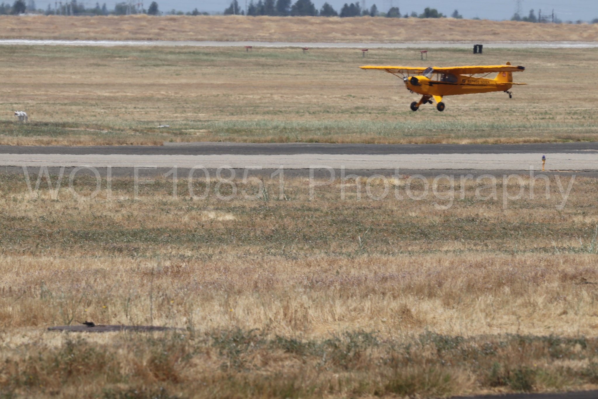 Aviation photography by WOLF10851 featuring Beale Air and Space Expo 2025, Piper J-3 Cub, Tucker Air Patrol.