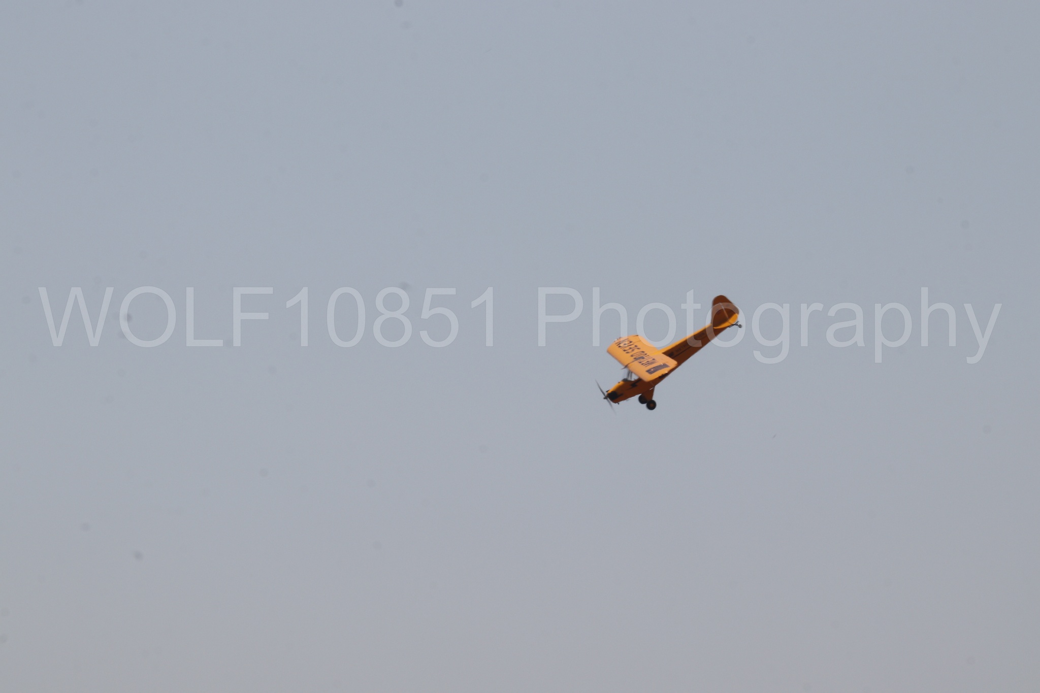 Aviation photography by WOLF10851 featuring Beale Air and Space Expo 2025, Piper J-3 Cub, Tucker Air Patrol.