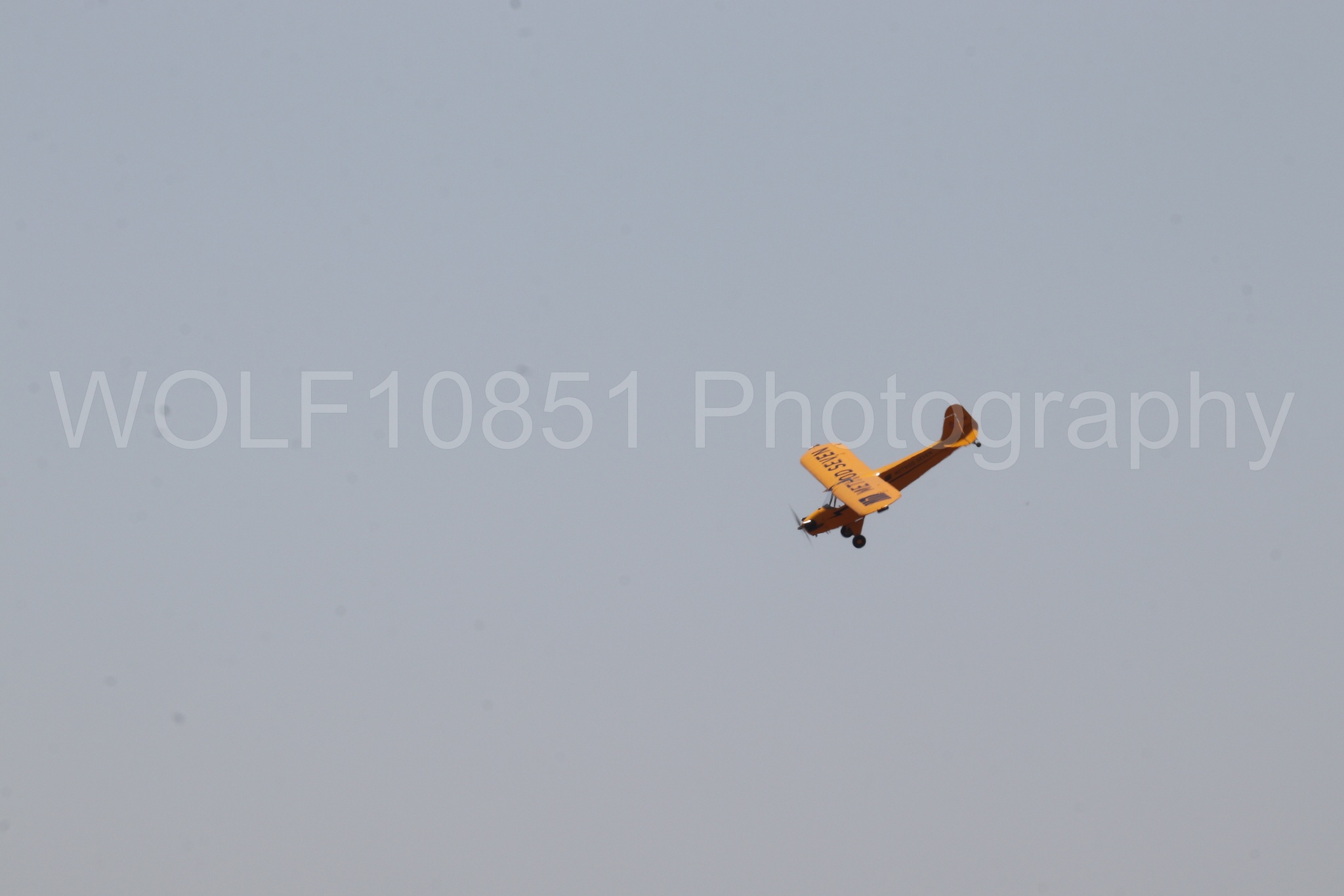 Aviation photography by WOLF10851 featuring Beale Air and Space Expo 2025, Piper J-3 Cub, Tucker Air Patrol.