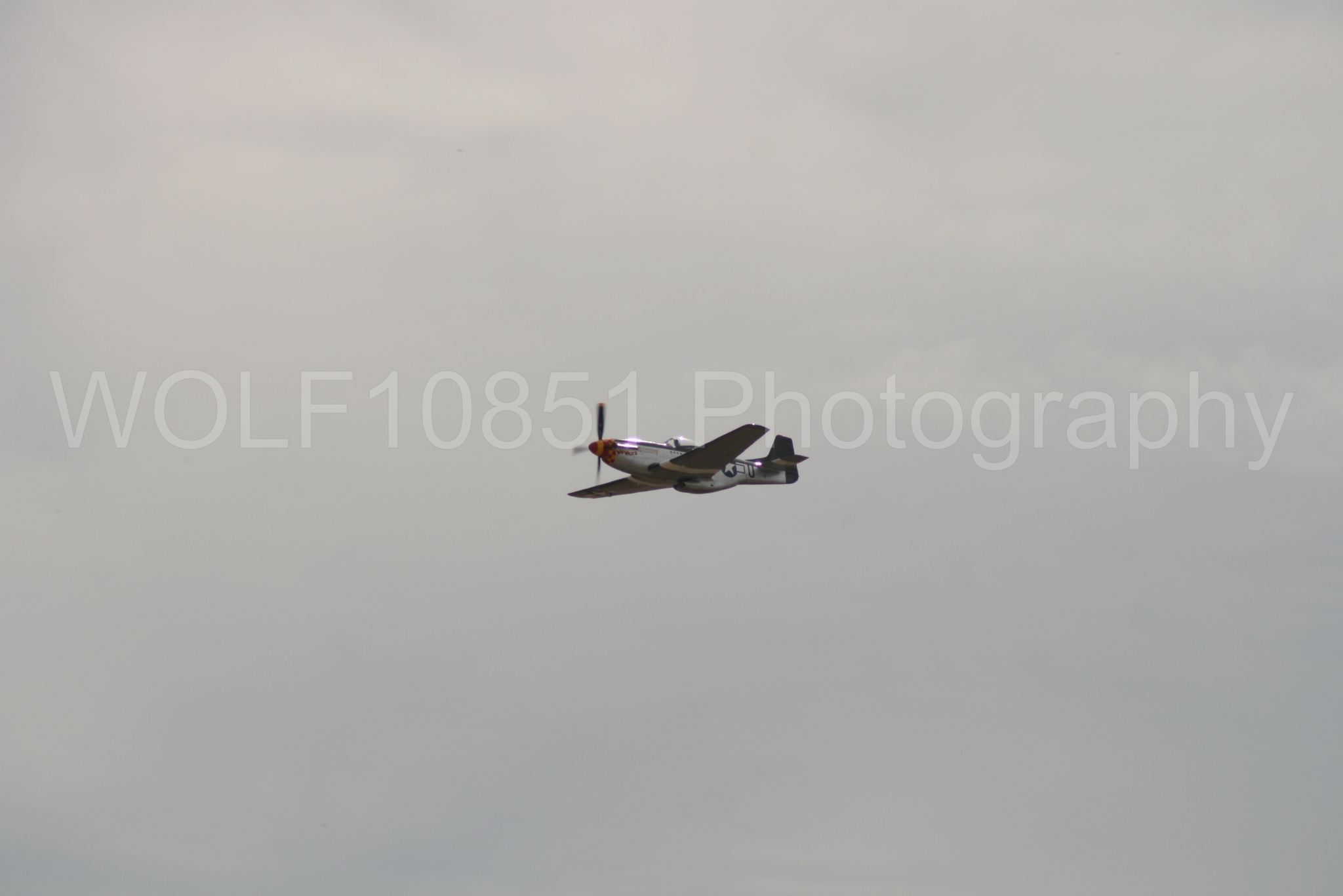 Aviation photography by WOLF10851 featuring P-51 Mustang, California Capital Airshow 2009, Wee Willy 2.