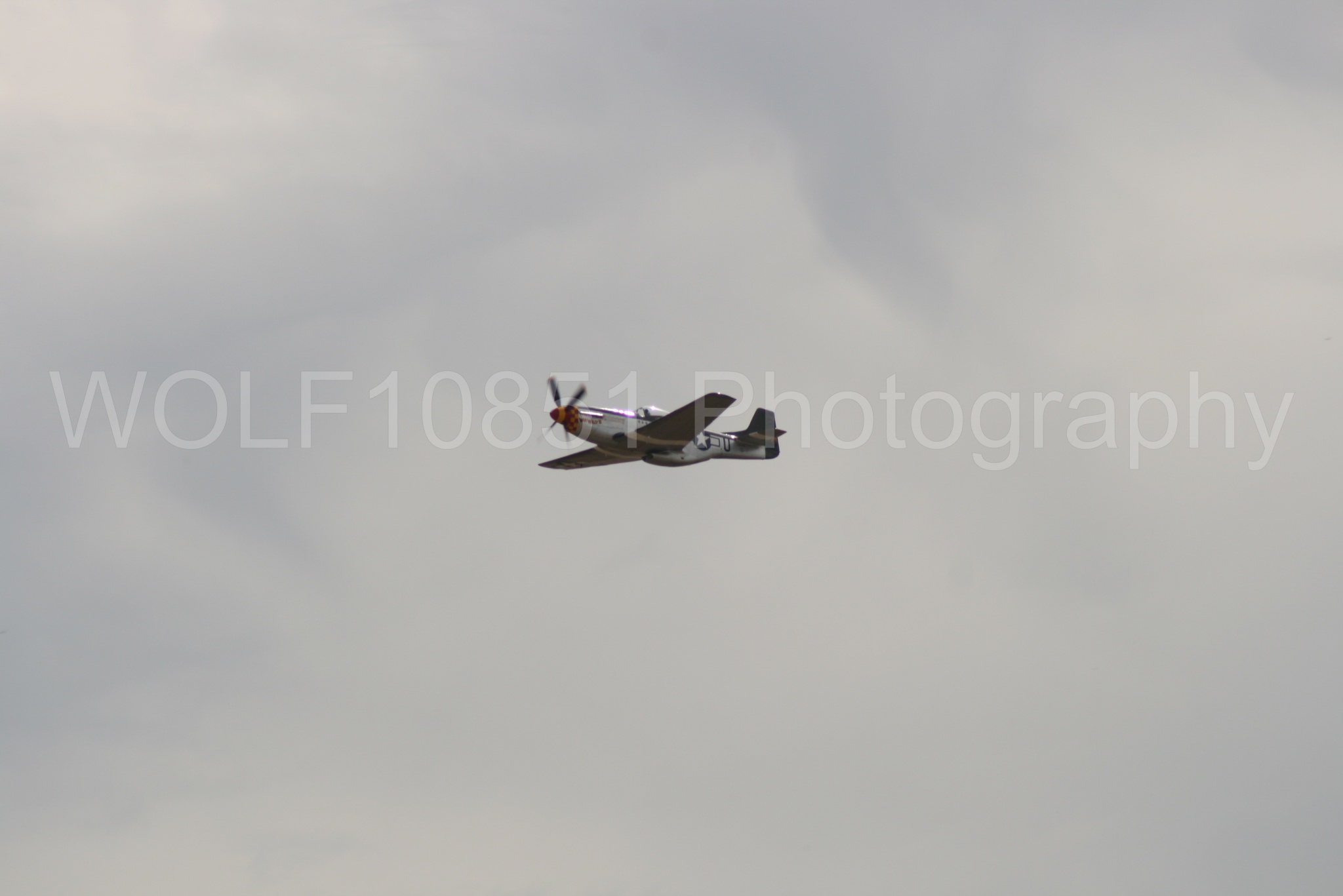 Aviation photography by WOLF10851 featuring P-51 Mustang, California Capital Airshow 2009, Wee Willy 2.