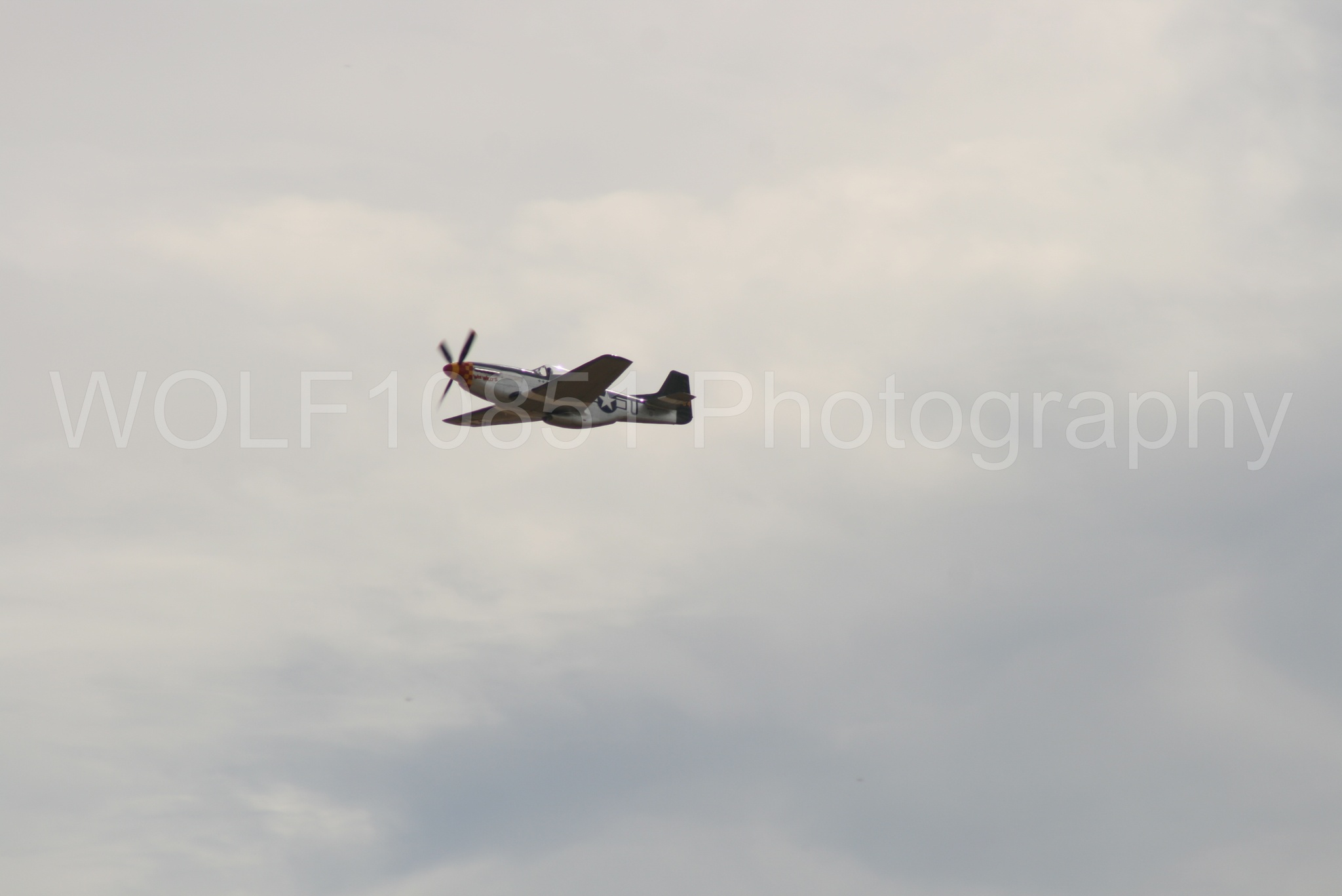 Aviation photography by WOLF10851 featuring P-51 Mustang, California Capital Airshow 2009, Wee Willy 2.