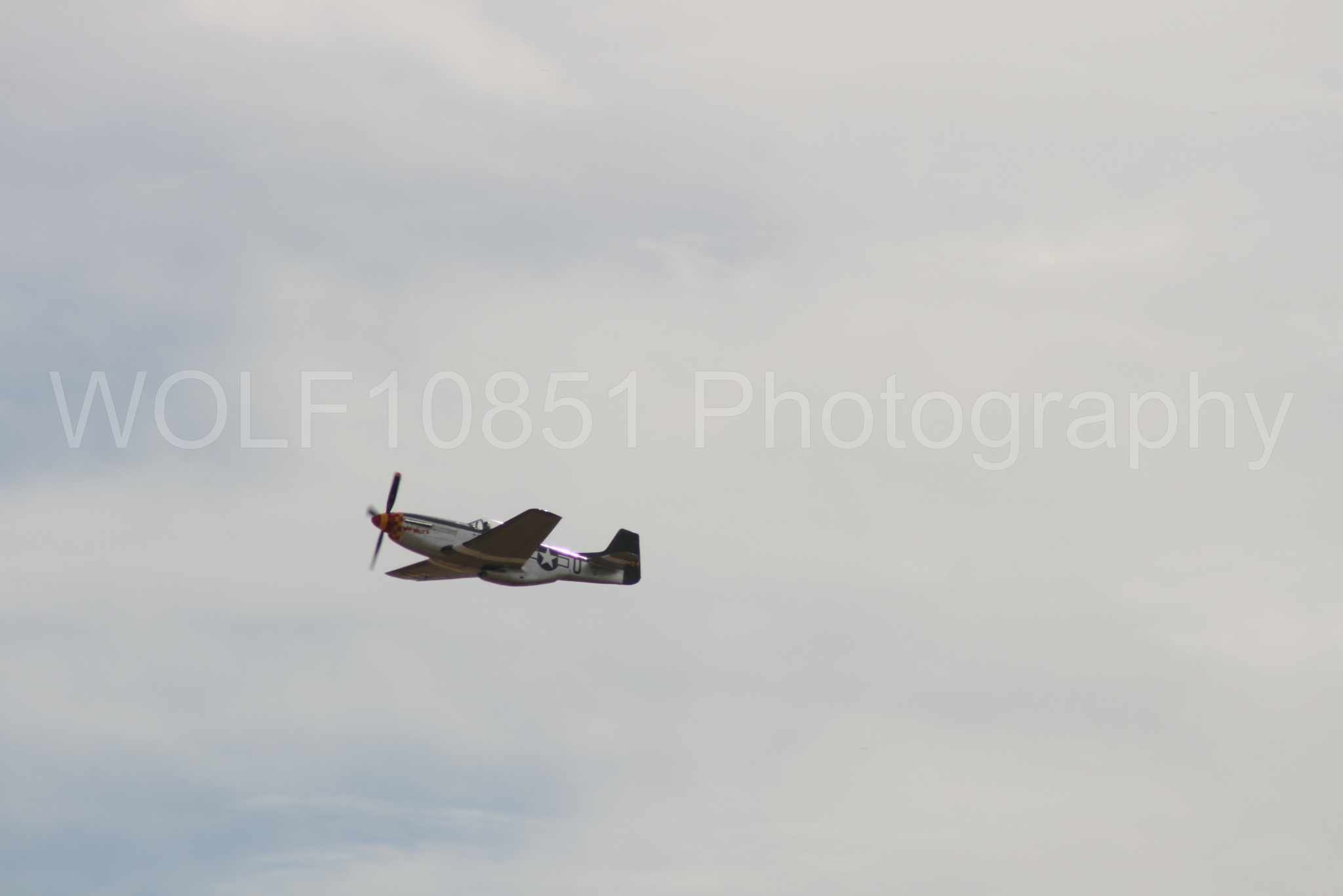 Aviation photography by WOLF10851 featuring P-51 Mustang, California Capital Airshow 2009, Wee Willy 2.