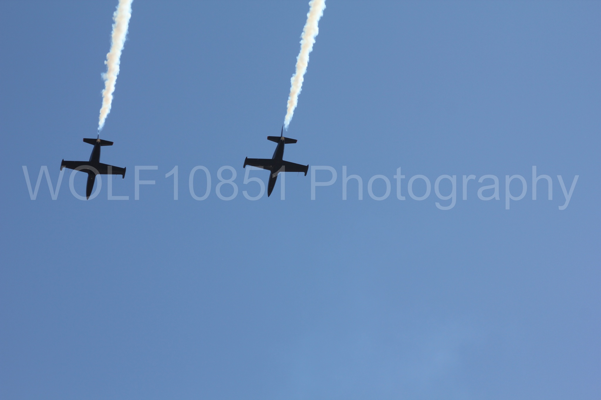 Aviation photography by WOLF10851 featuring L-39 Albatros, The Patriots Jet Demonstration Team, California Capital Airshow 2010.