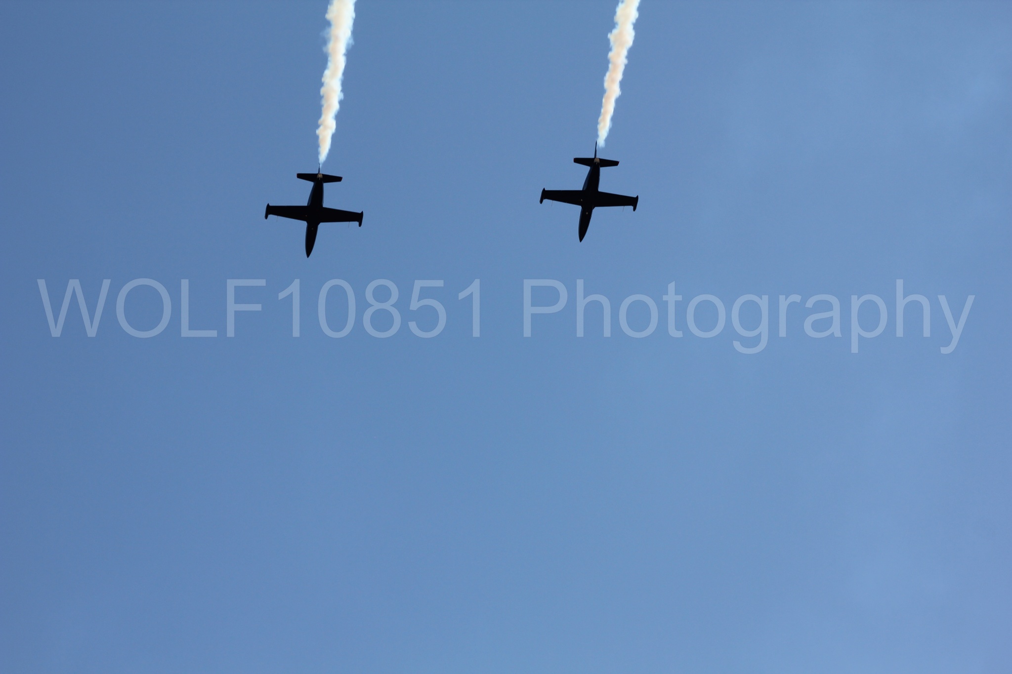 Aviation photography by WOLF10851 featuring L-39 Albatros, The Patriots Jet Demonstration Team, California Capital Airshow 2010.