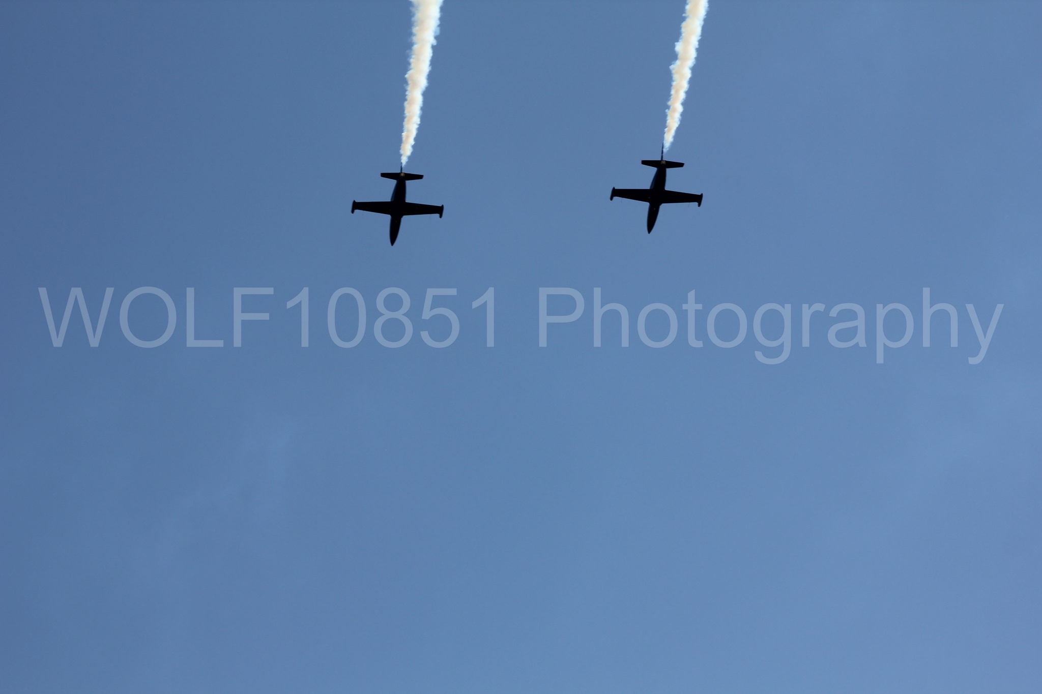 Aviation photography by WOLF10851 featuring L-39 Albatros, The Patriots Jet Demonstration Team, California Capital Airshow 2010.