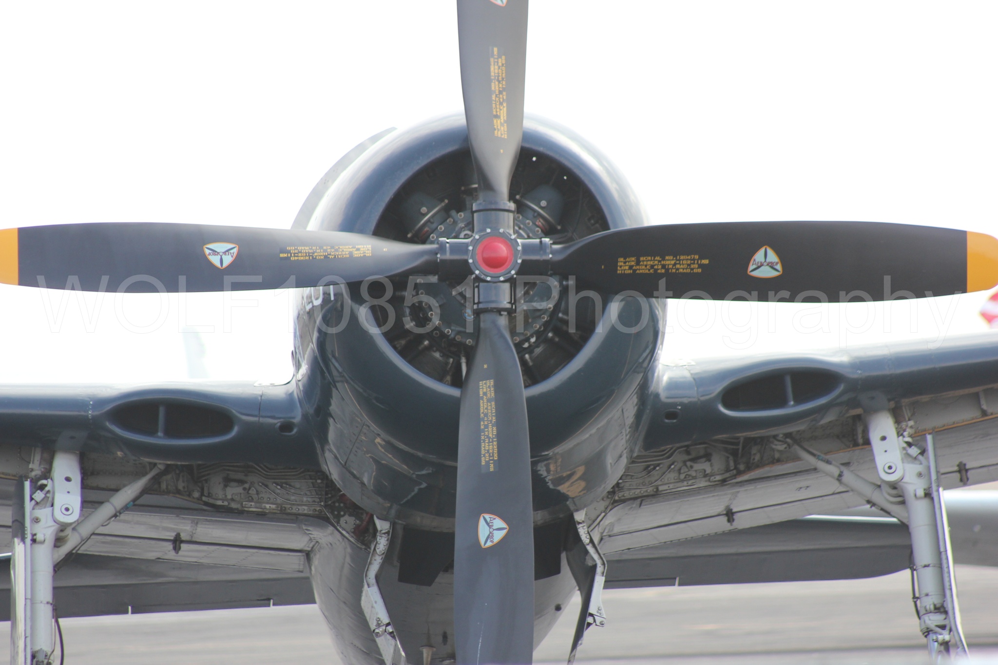 Aviation photography by WOLF10851 featuring Static Display, California Capital Airshow 2011, f-8f Bearcat.