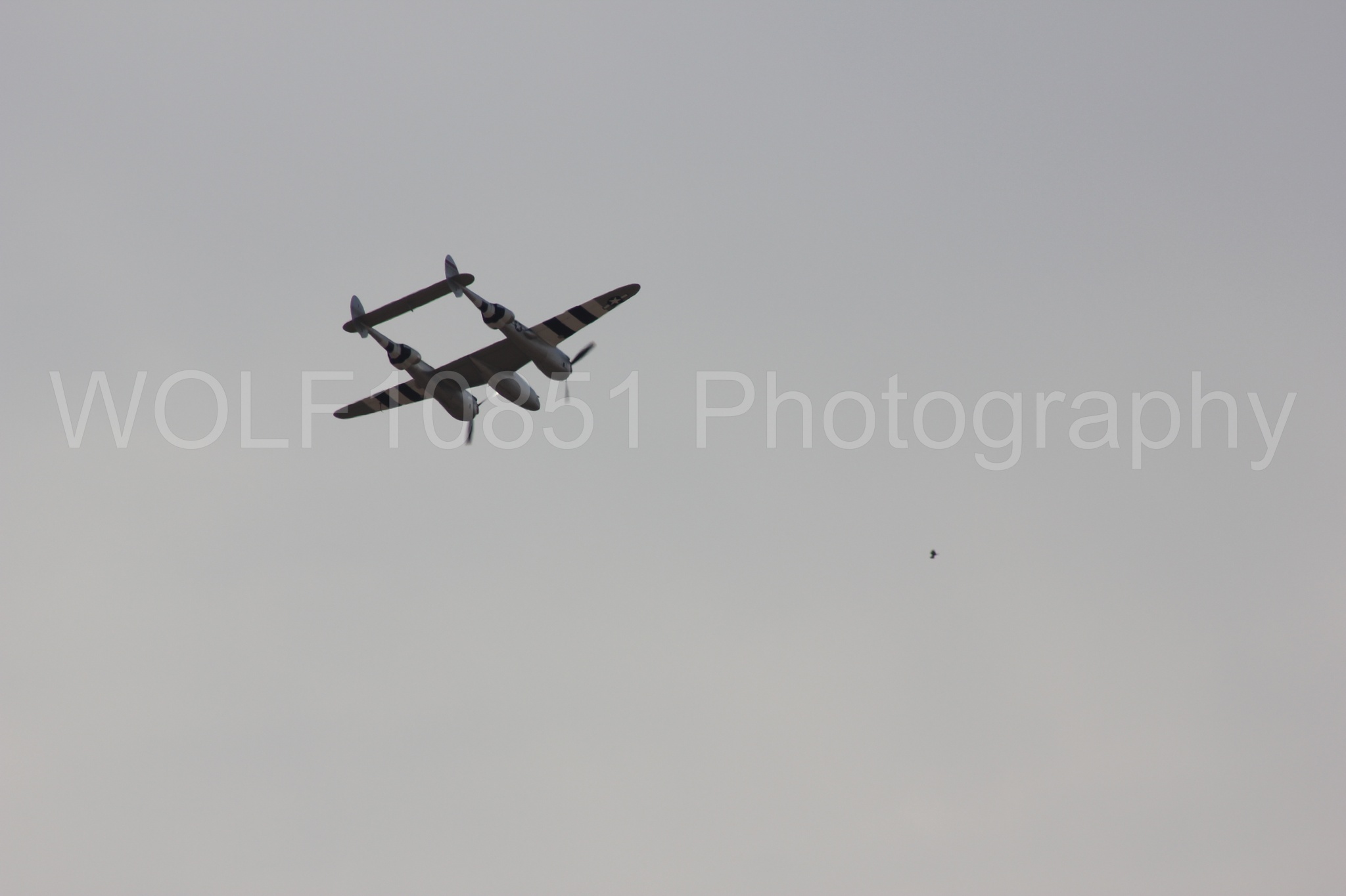 Aviation photography by WOLF10851 featuring P-38 Lightning, Honey Bunny, California Capital Airshow 2011.