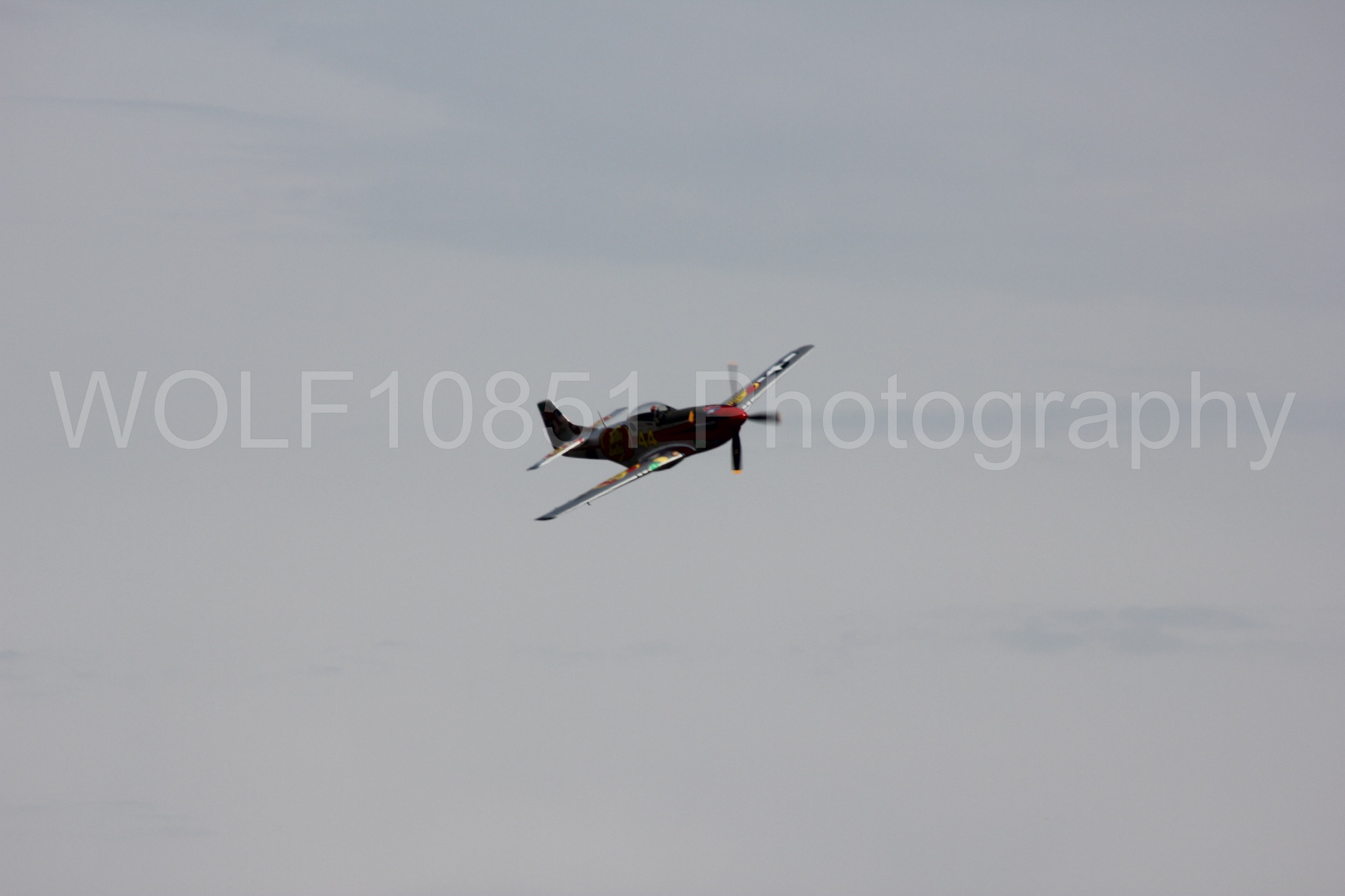 Aviation photography by WOLF10851 featuring P-51 Mustang, Jelly Belly, California Capital Airshow 2011, Sparky.