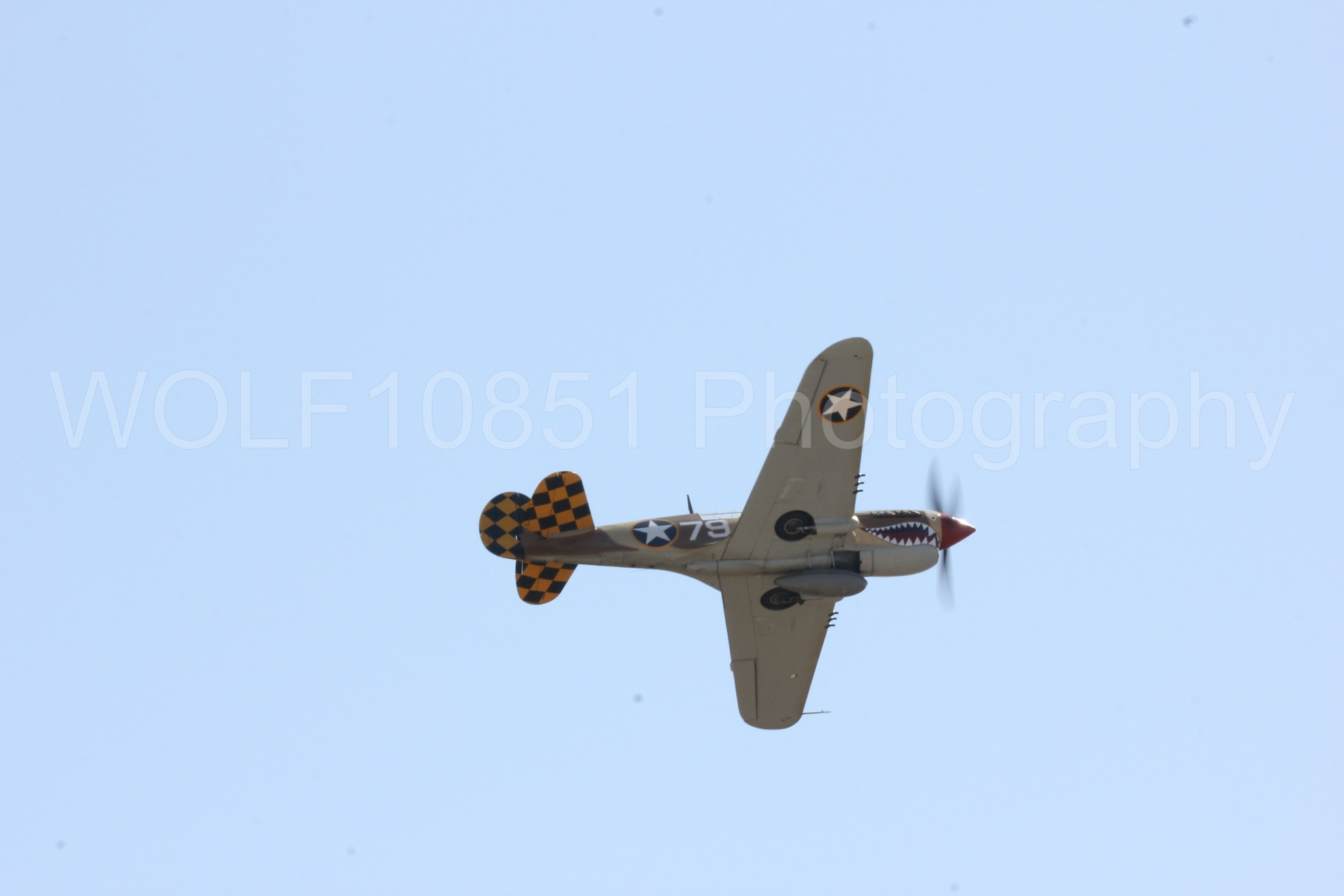 Aviation photography by WOLF10851 featuring Curtis P-40 Warhawk, California Capital Airshow 2016.