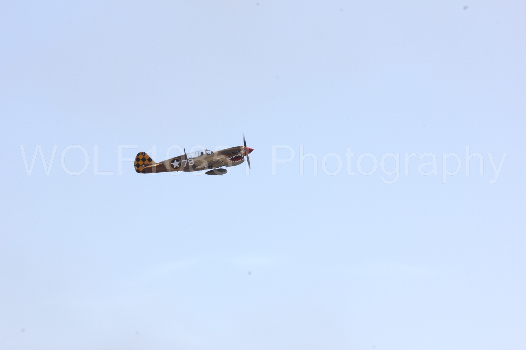 Aviation photography by WOLF10851 featuring Curtis P-40 Warhawk, California Capital Airshow 2016.