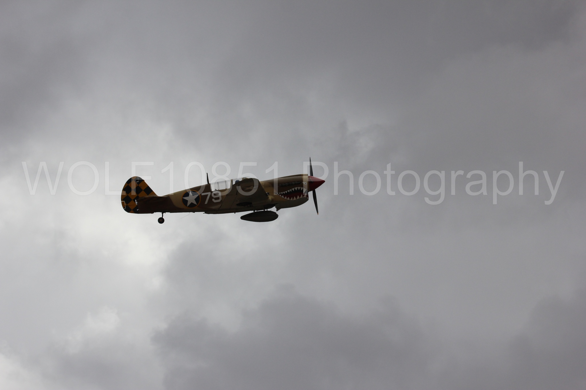 Aviation photography by WOLF10851 featuring Curtis P-40 Warhawk, California Capital Airshow 2016.