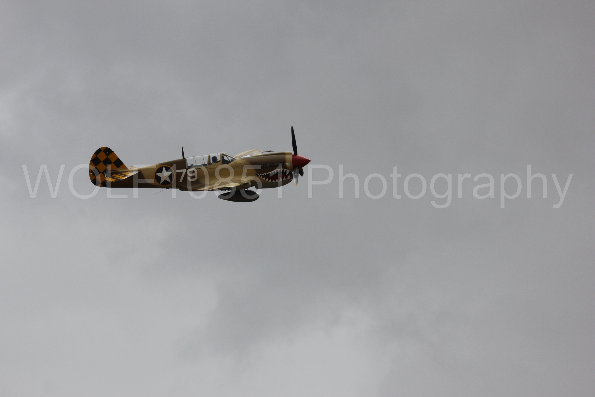 Aviation photography by WOLF10851 featuring Curtis P-40 Warhawk, California Capital Airshow 2016.
