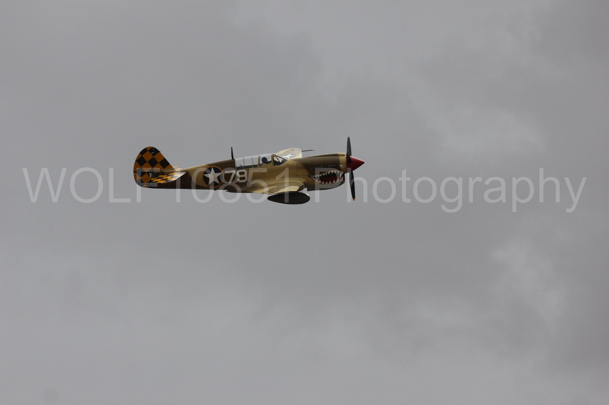 Aviation photography by WOLF10851 featuring Curtis P-40 Warhawk, California Capital Airshow 2016.