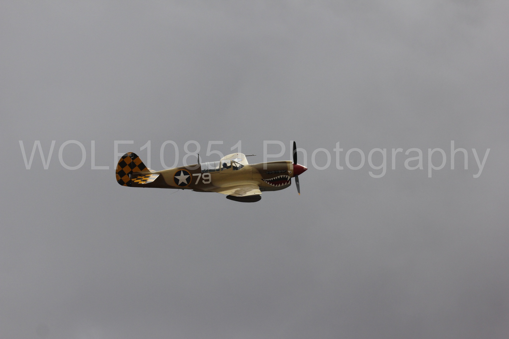 Aviation photography by WOLF10851 featuring Curtis P-40 Warhawk, California Capital Airshow 2016.