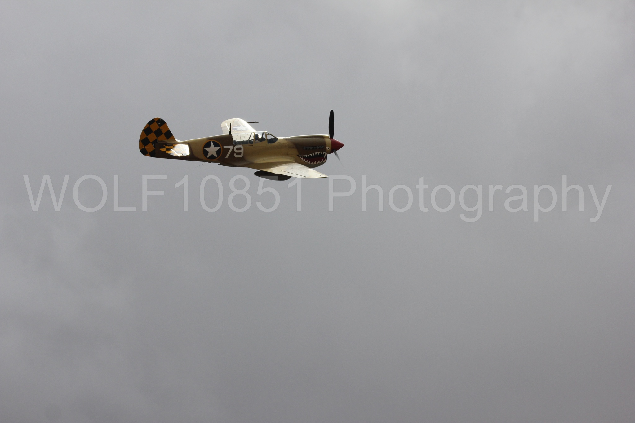 Aviation photography by WOLF10851 featuring Curtis P-40 Warhawk, California Capital Airshow 2016.