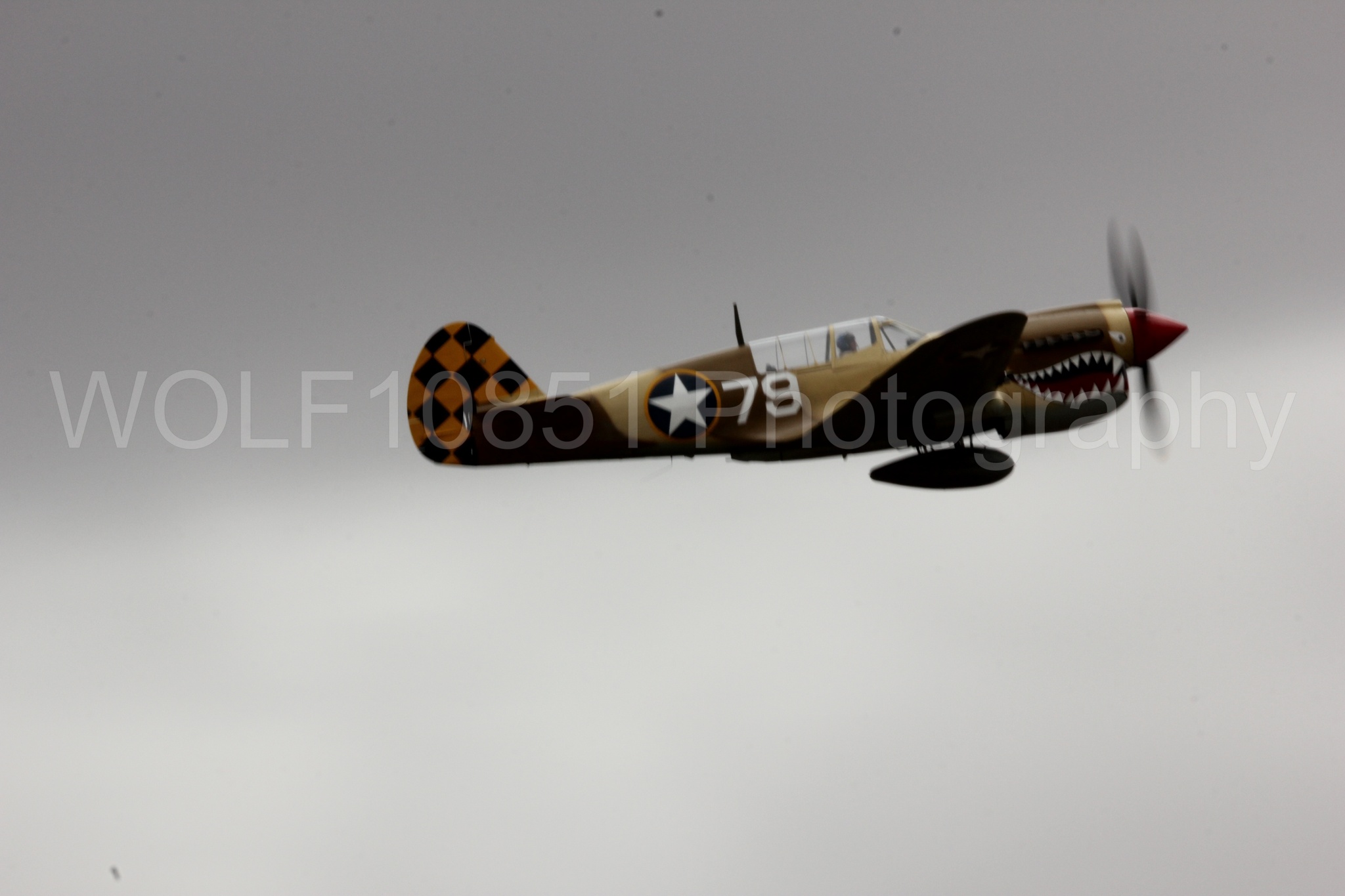 Aviation photography by WOLF10851 featuring Curtis P-40 Warhawk, California Capital Airshow 2016.