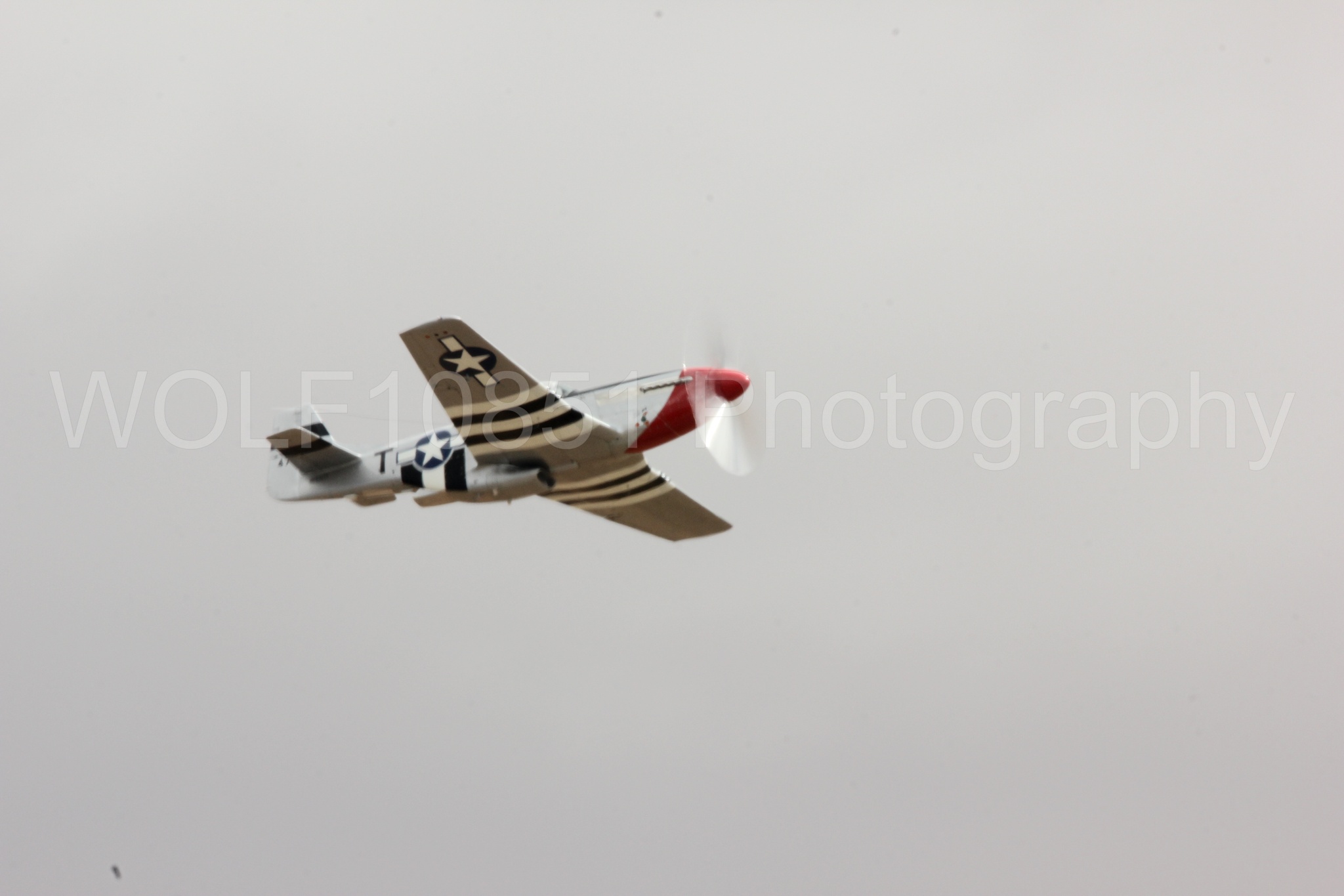 Aviation photography by WOLF10851 featuring P-51 Mustang, California Capital Airshow 2016, Comfortably Numb.