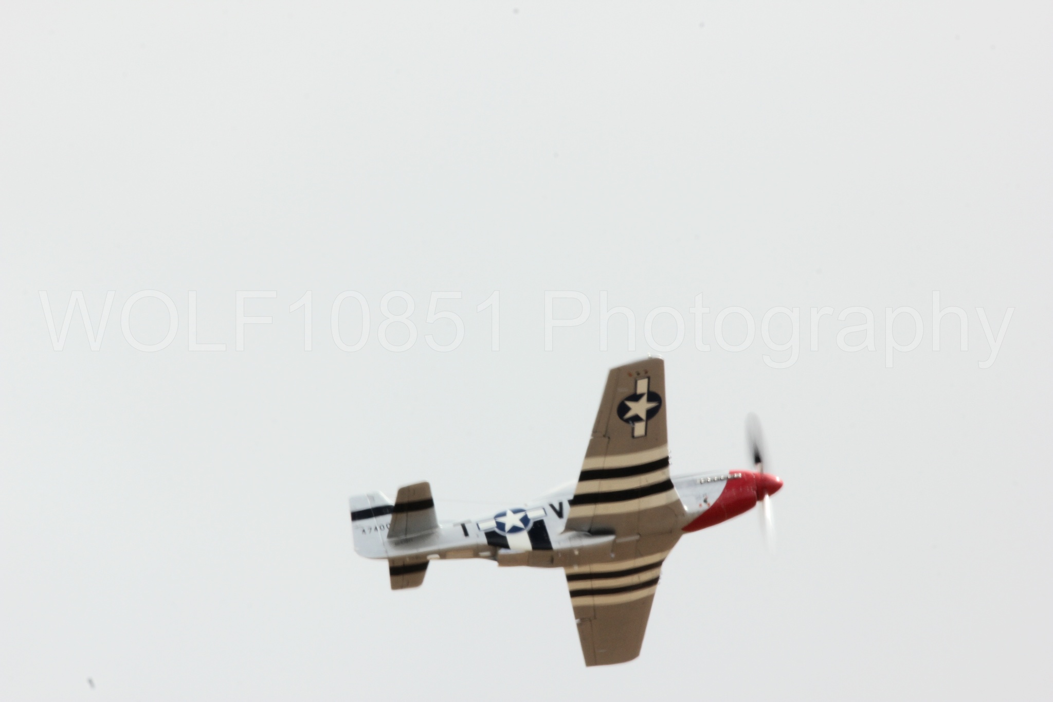 Aviation photography by WOLF10851 featuring P-51 Mustang, California Capital Airshow 2016, Comfortably Numb.