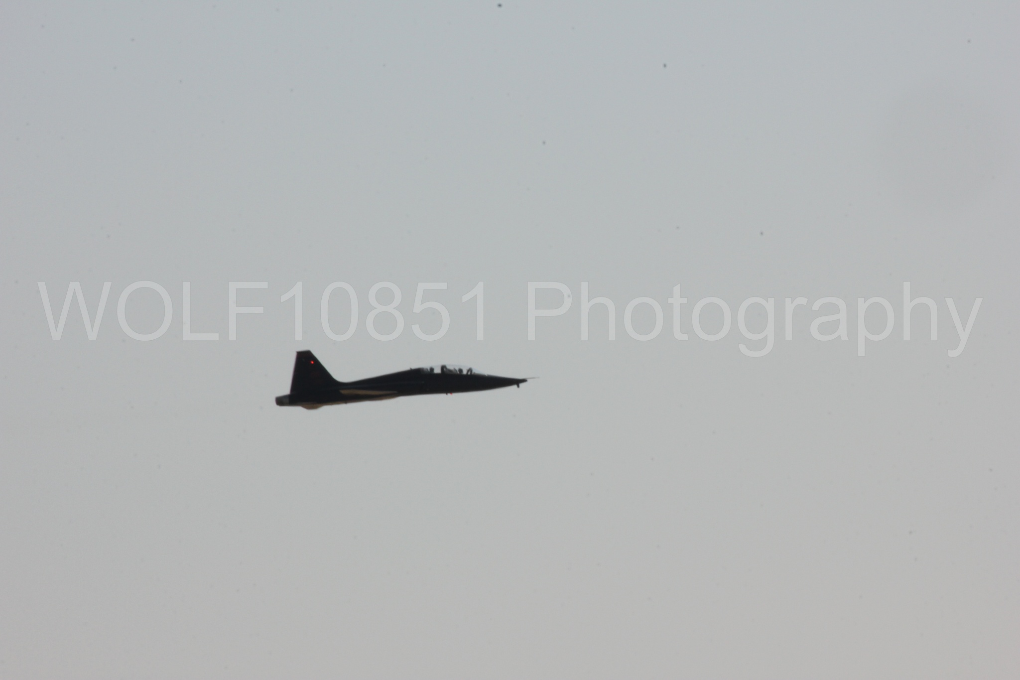 Aviation photography by WOLF10851 featuring T-38 Talon.