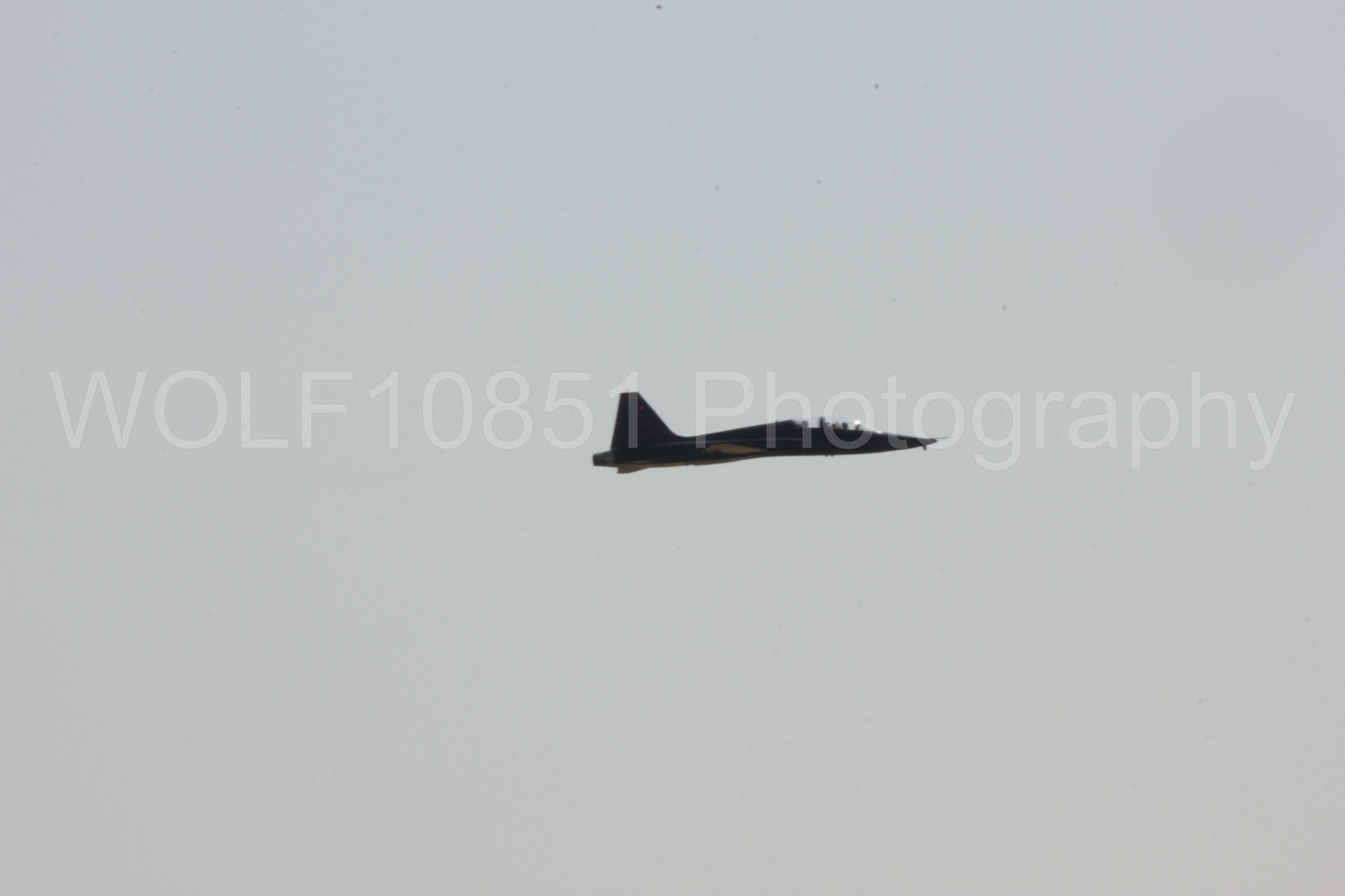 Aviation photography by WOLF10851 featuring T-38 Talon, California Capital Airshow 2017.