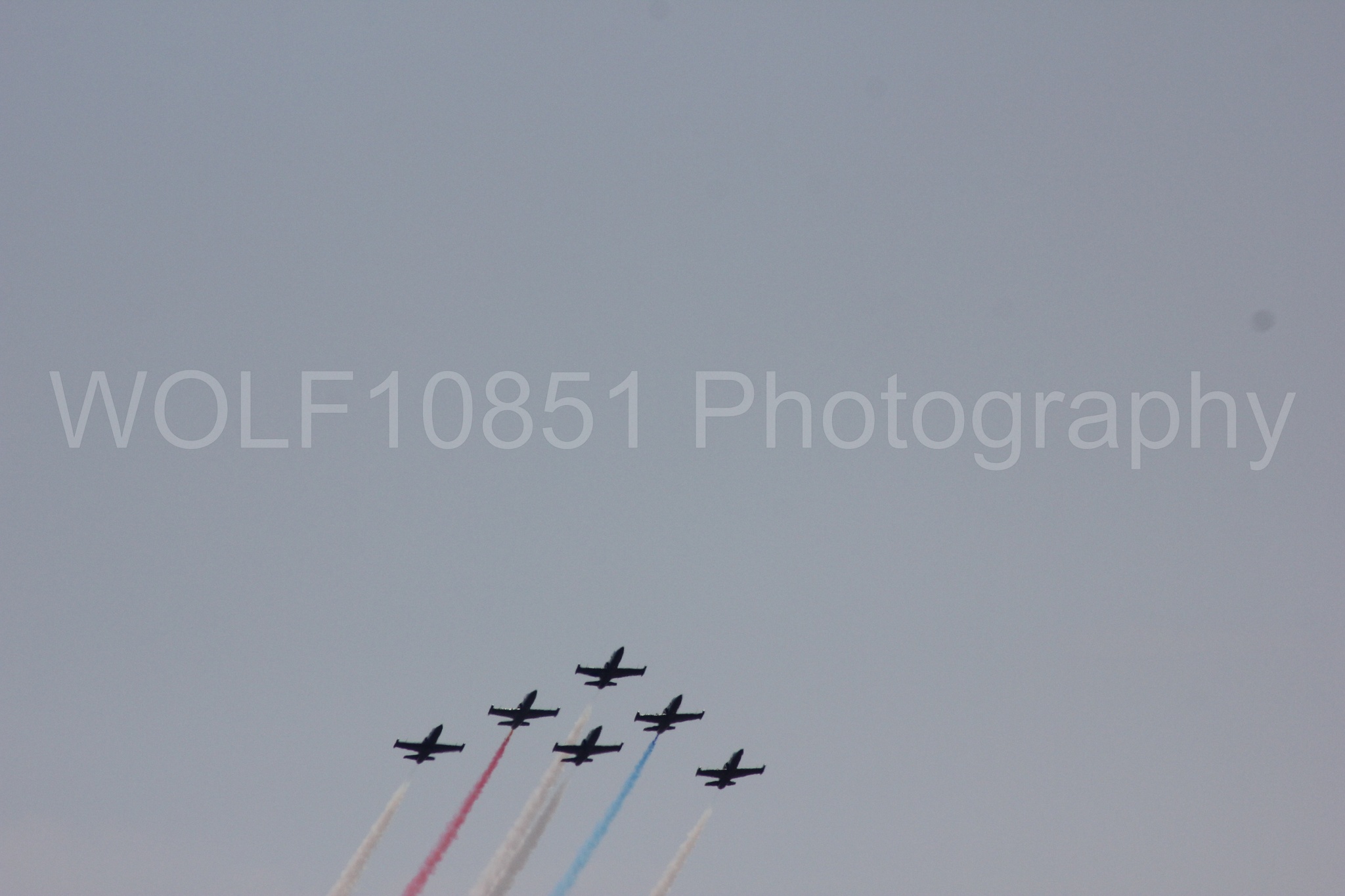 Aviation photography by WOLF10851 featuring L-39 Albatros, The Patriots Jet Demonstration Team, All Black Red lettering.