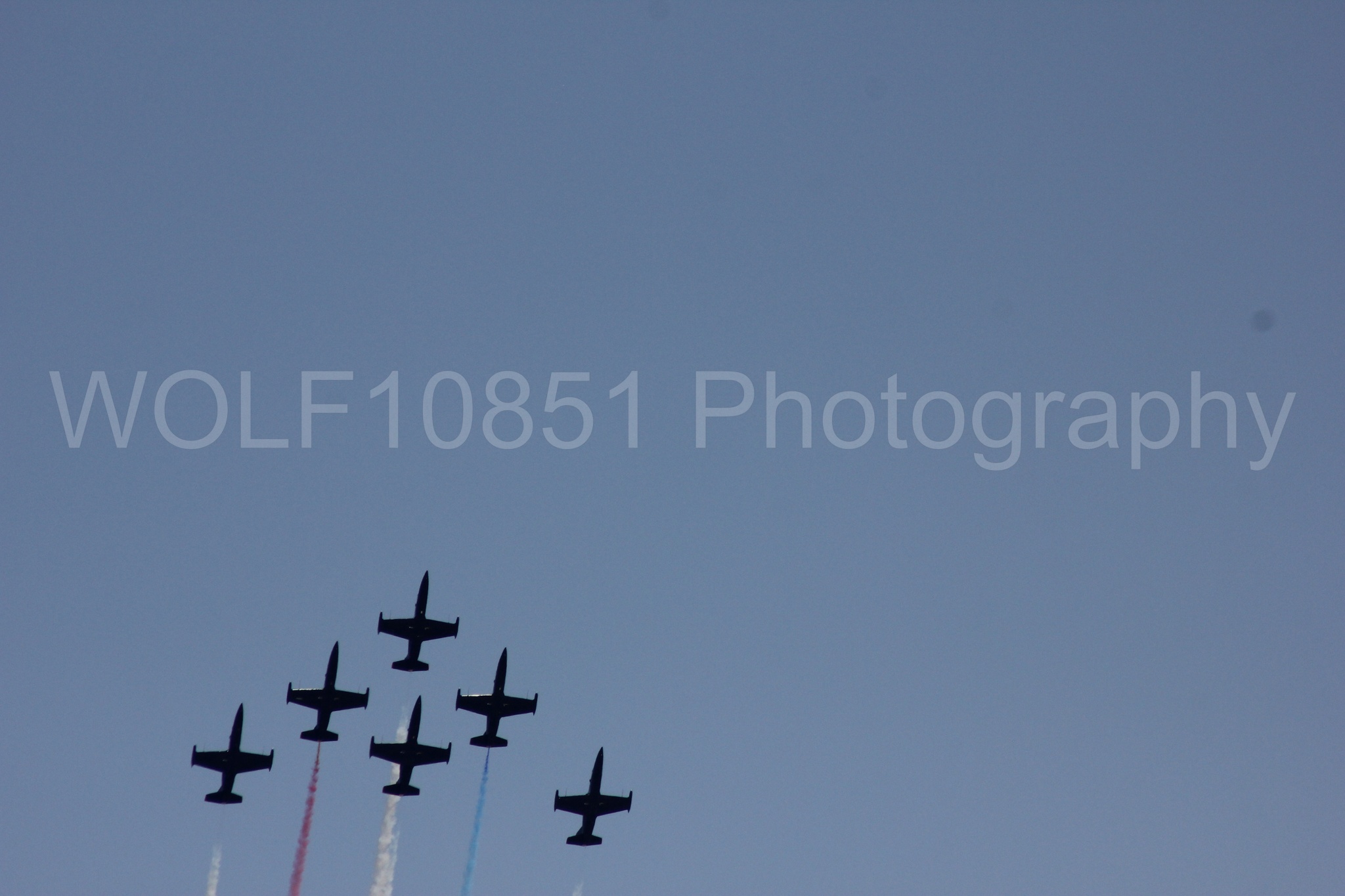 Aviation photography by WOLF10851 featuring L-39 Albatros, The Patriots Jet Demonstration Team, All Black Red lettering.