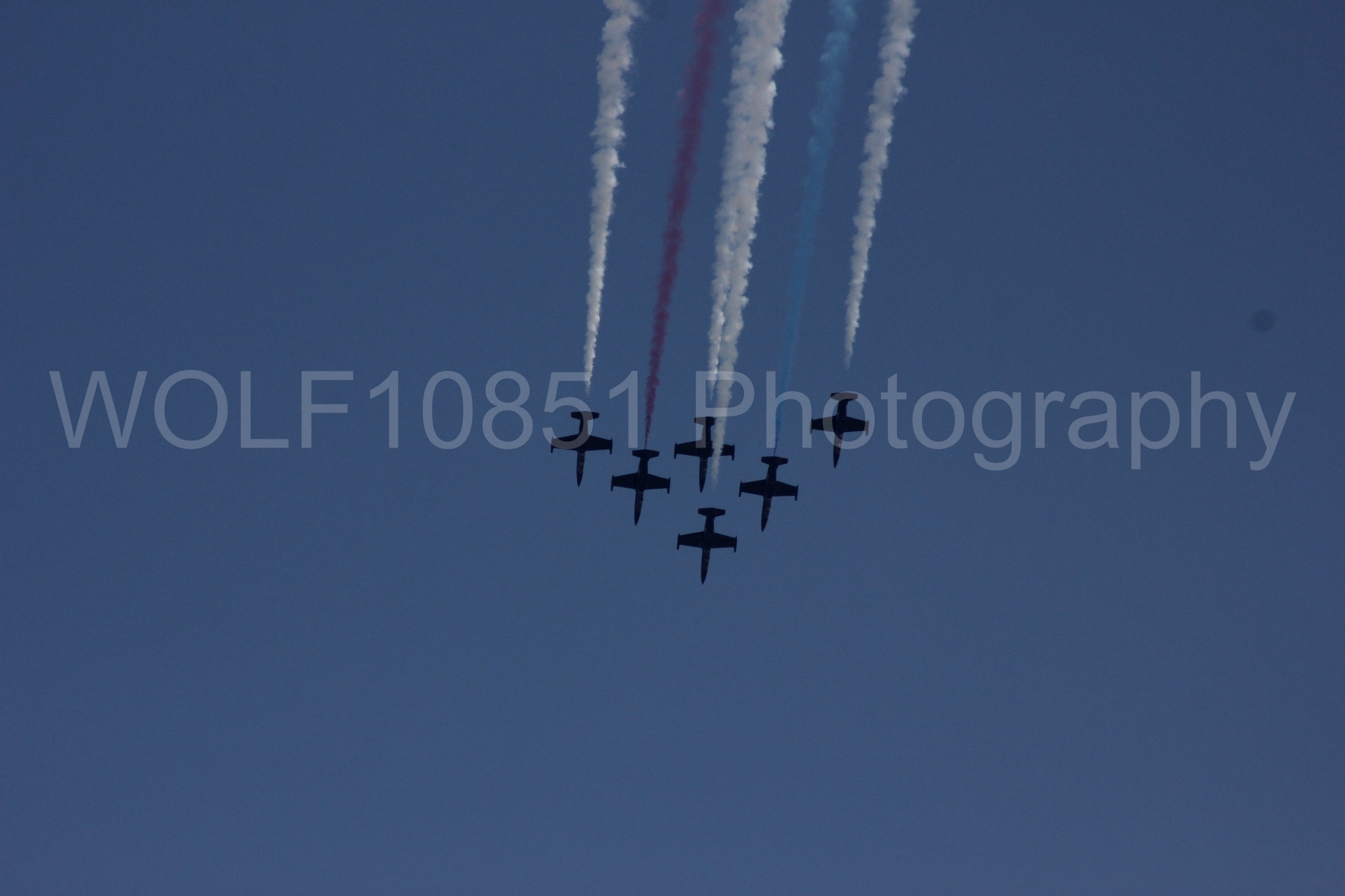 Aviation photography by WOLF10851 featuring L-39 Albatros, The Patriots Jet Demonstration Team, All Black Red lettering.