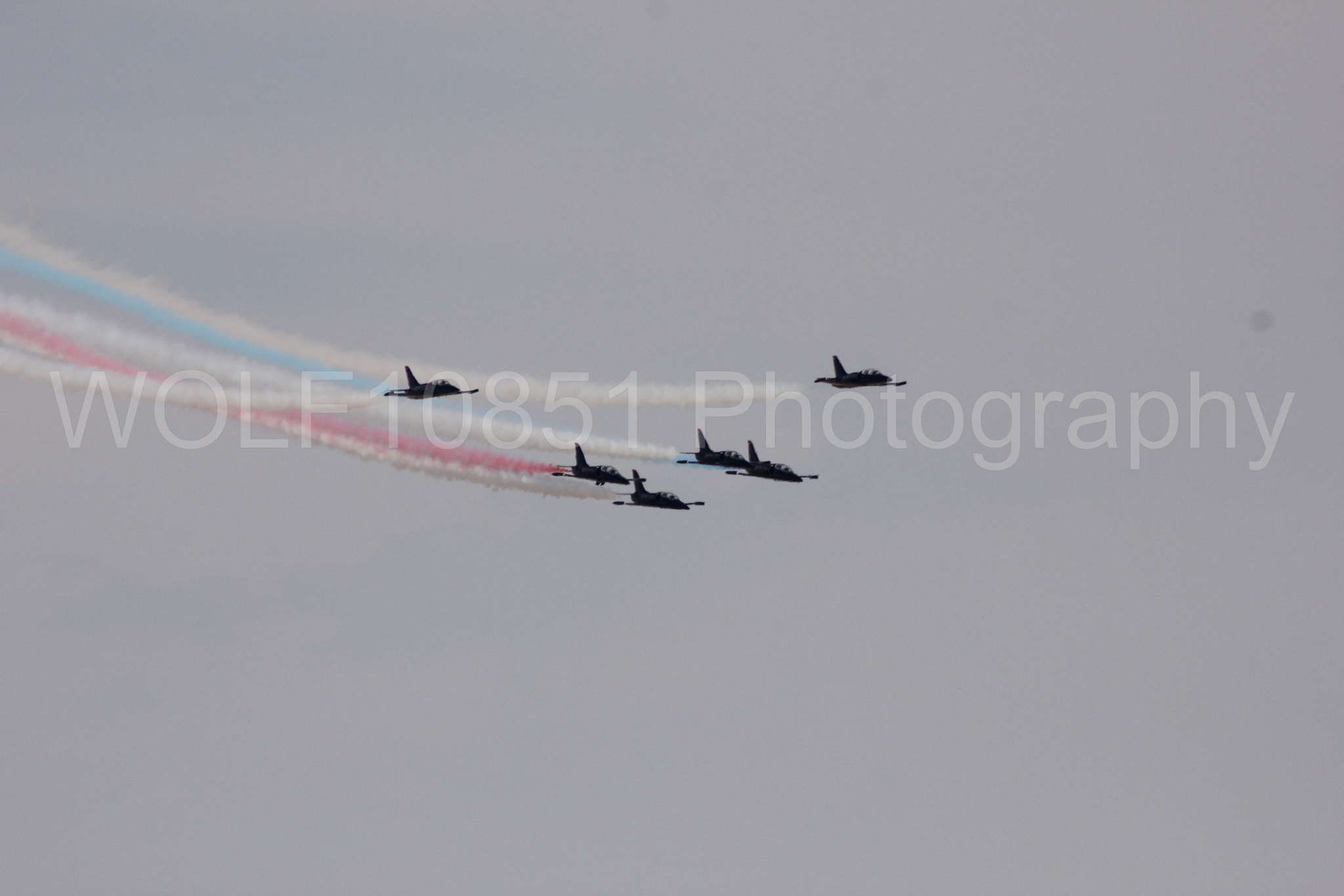 Aviation photography by WOLF10851 featuring L-39 Albatros, The Patriots Jet Demonstration Team, All Black Red lettering.