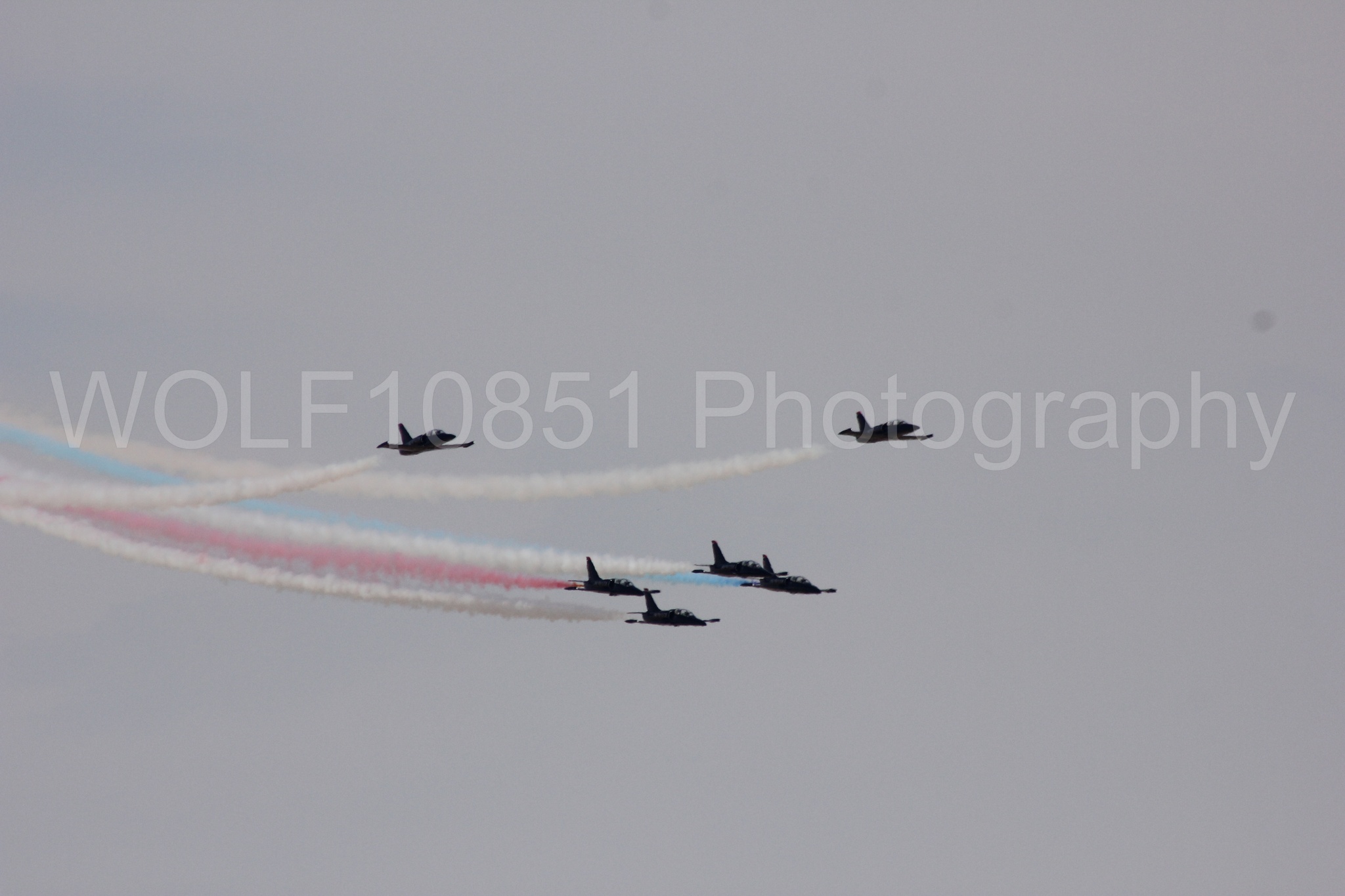 Aviation photography by WOLF10851 featuring L-39 Albatros, The Patriots Jet Demonstration Team, All Black Red lettering.