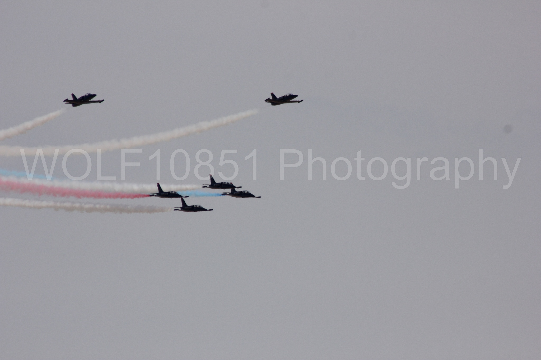 Aviation photography by WOLF10851 featuring L-39 Albatros, The Patriots Jet Demonstration Team, All Black Red lettering.