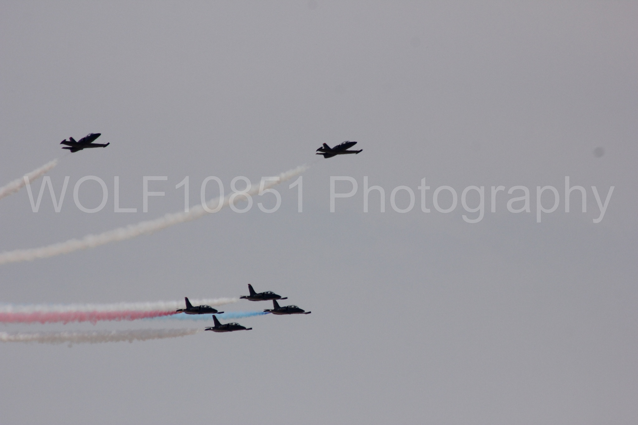 Aviation photography by WOLF10851 featuring L-39 Albatros, The Patriots Jet Demonstration Team, All Black Red lettering.
