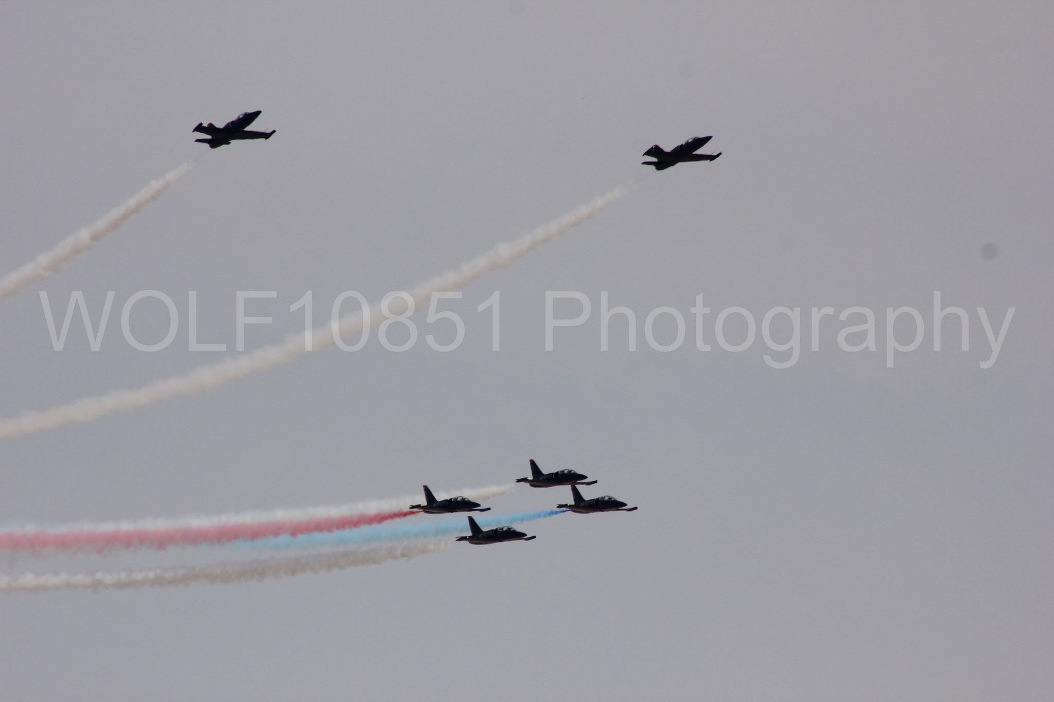 Aviation photography by WOLF10851 featuring L-39 Albatros, The Patriots Jet Demonstration Team, All Black Red lettering.