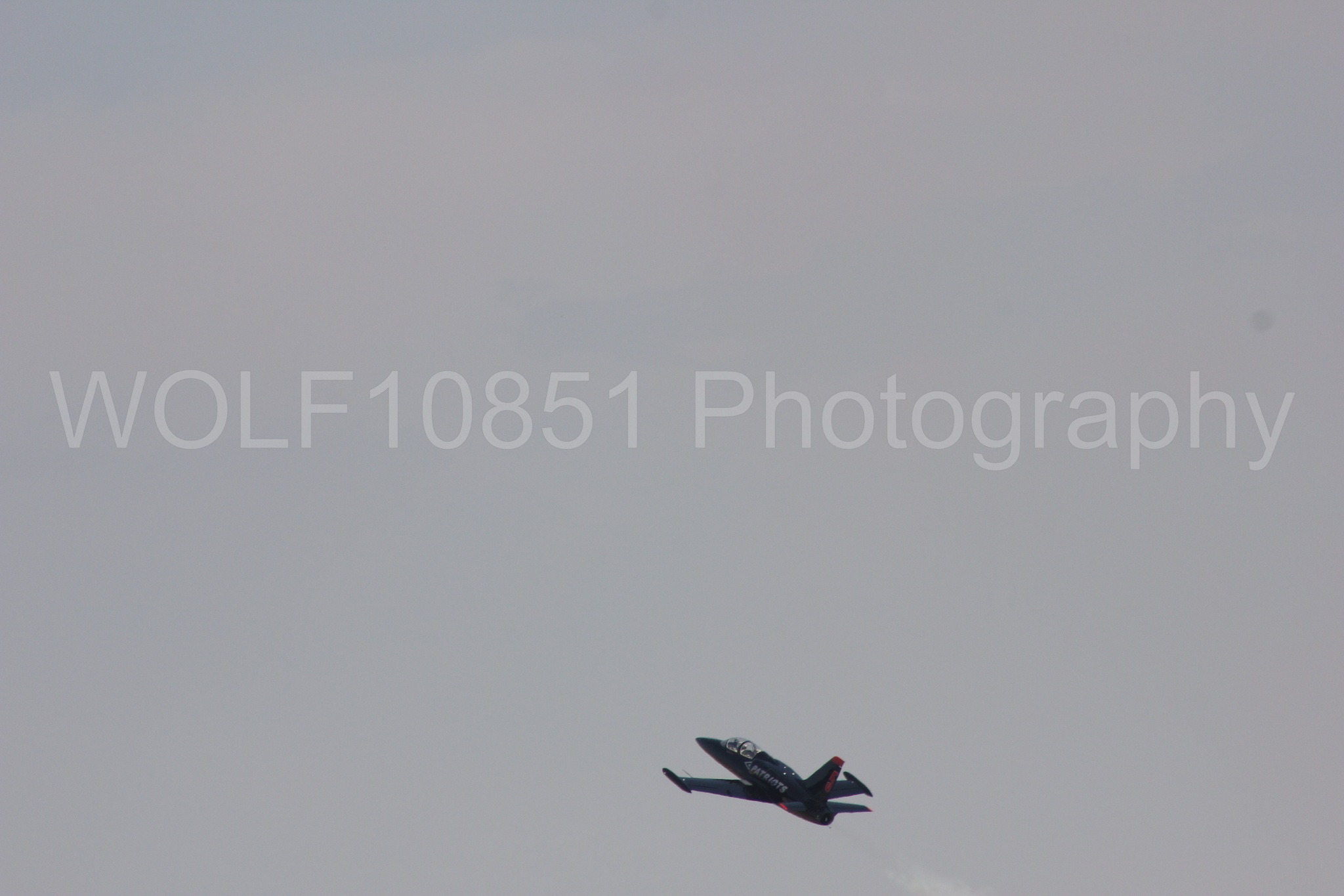 Aviation photography by WOLF10851 featuring L-39 Albatros, The Patriots Jet Demonstration Team, All Black Red lettering.